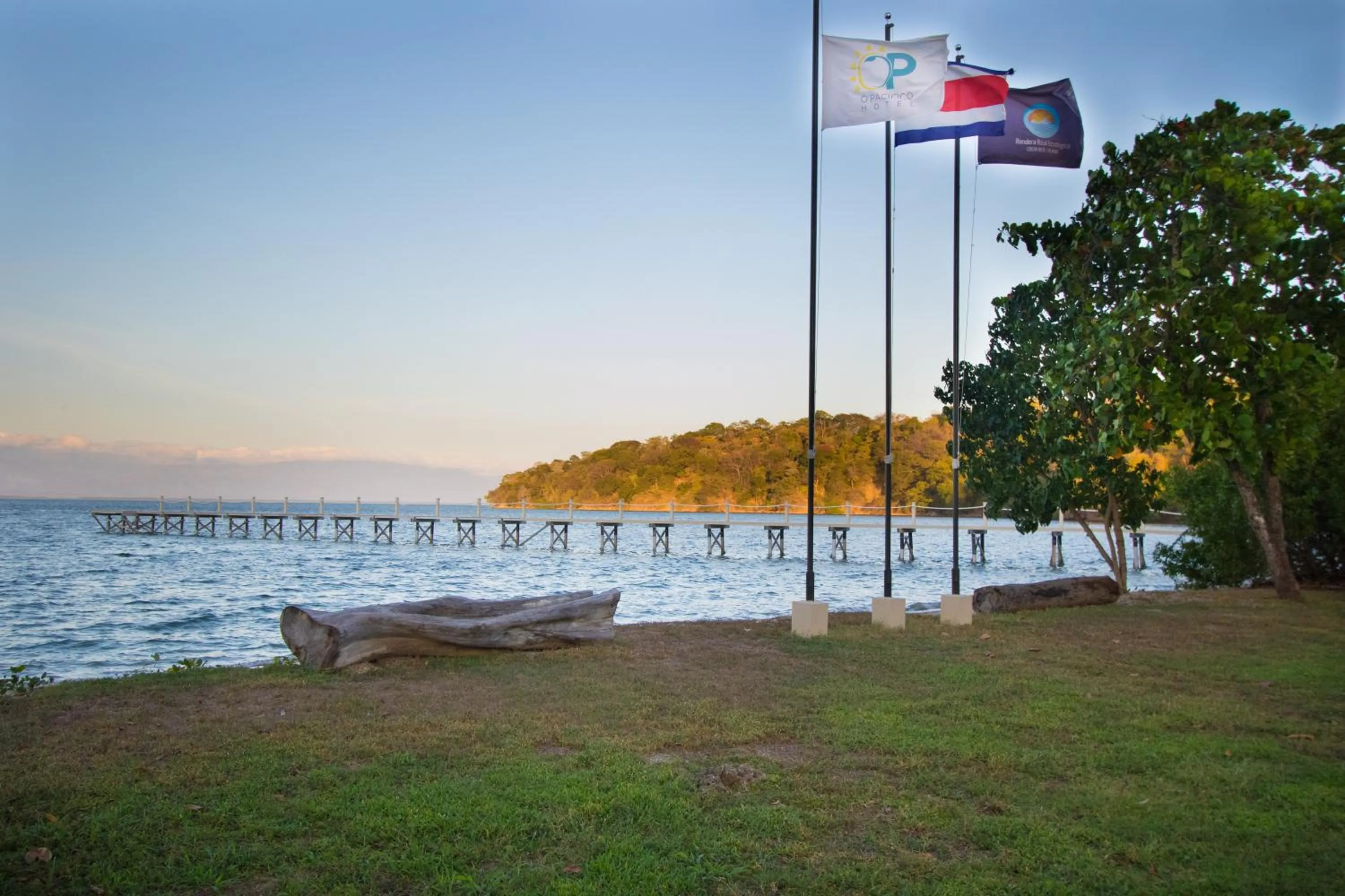 Patio in OPacifico Hotel Boutique