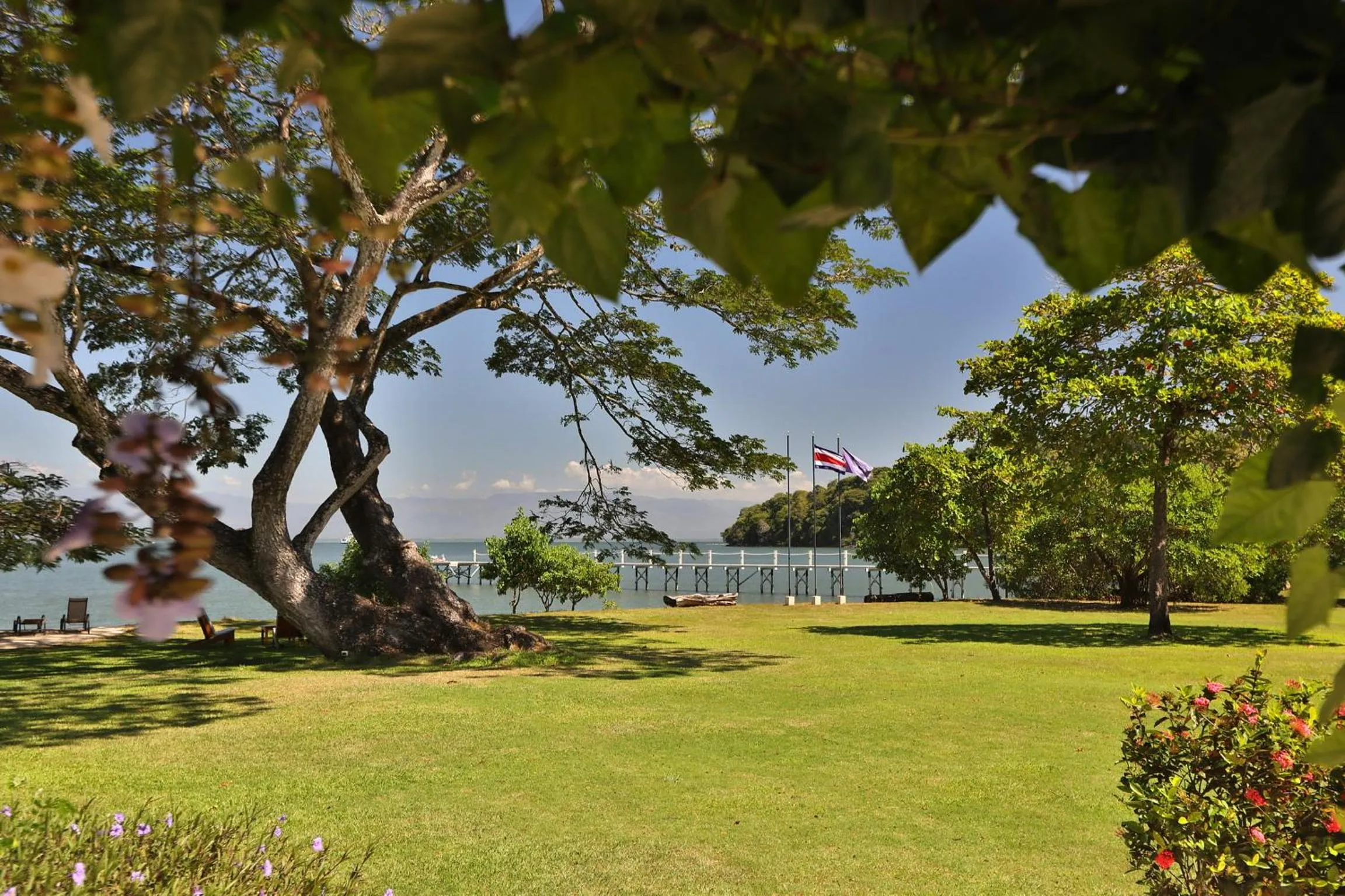 Garden in OPacifico Hotel Boutique