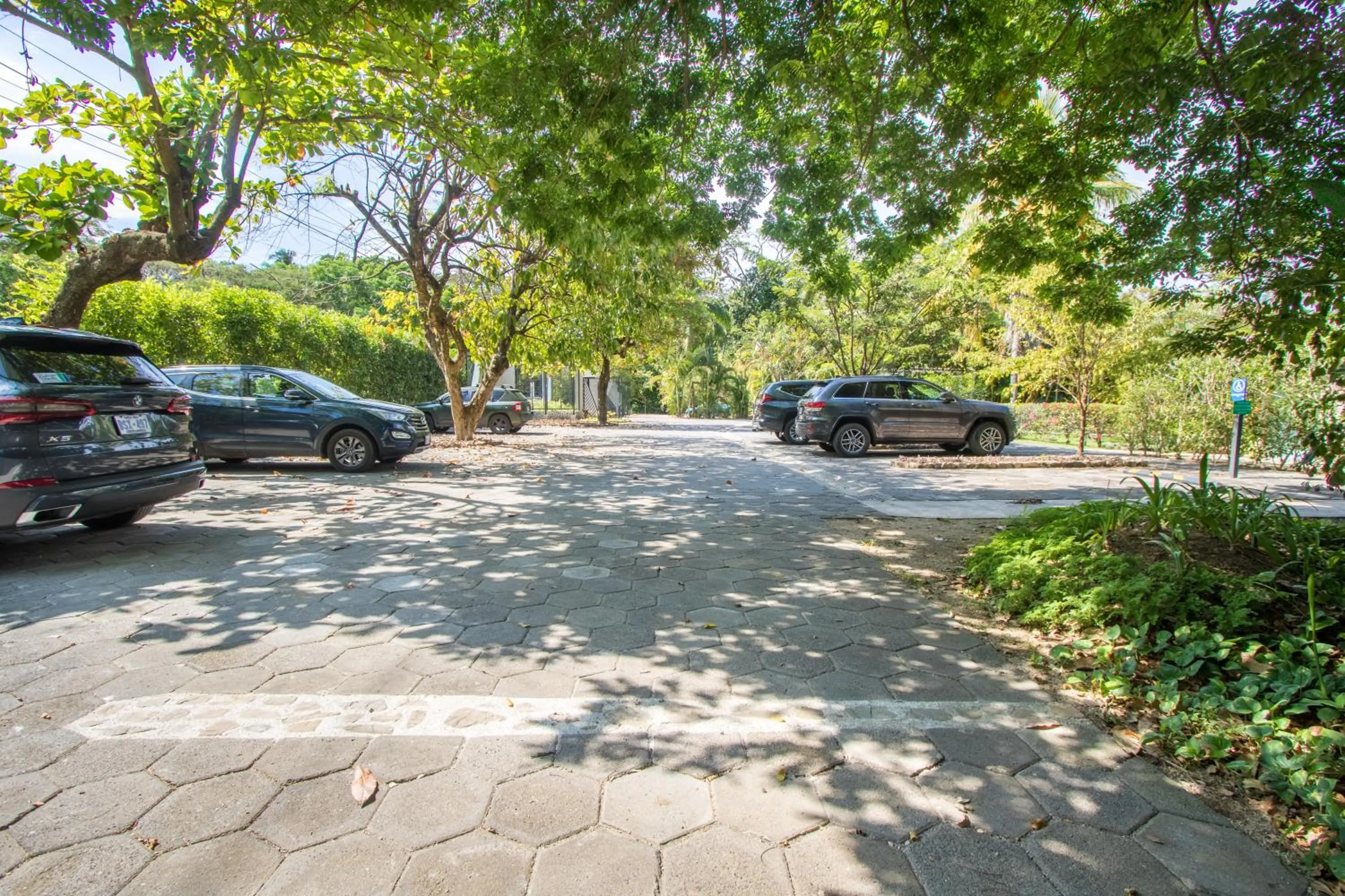 Garden in OPacifico Hotel Boutique