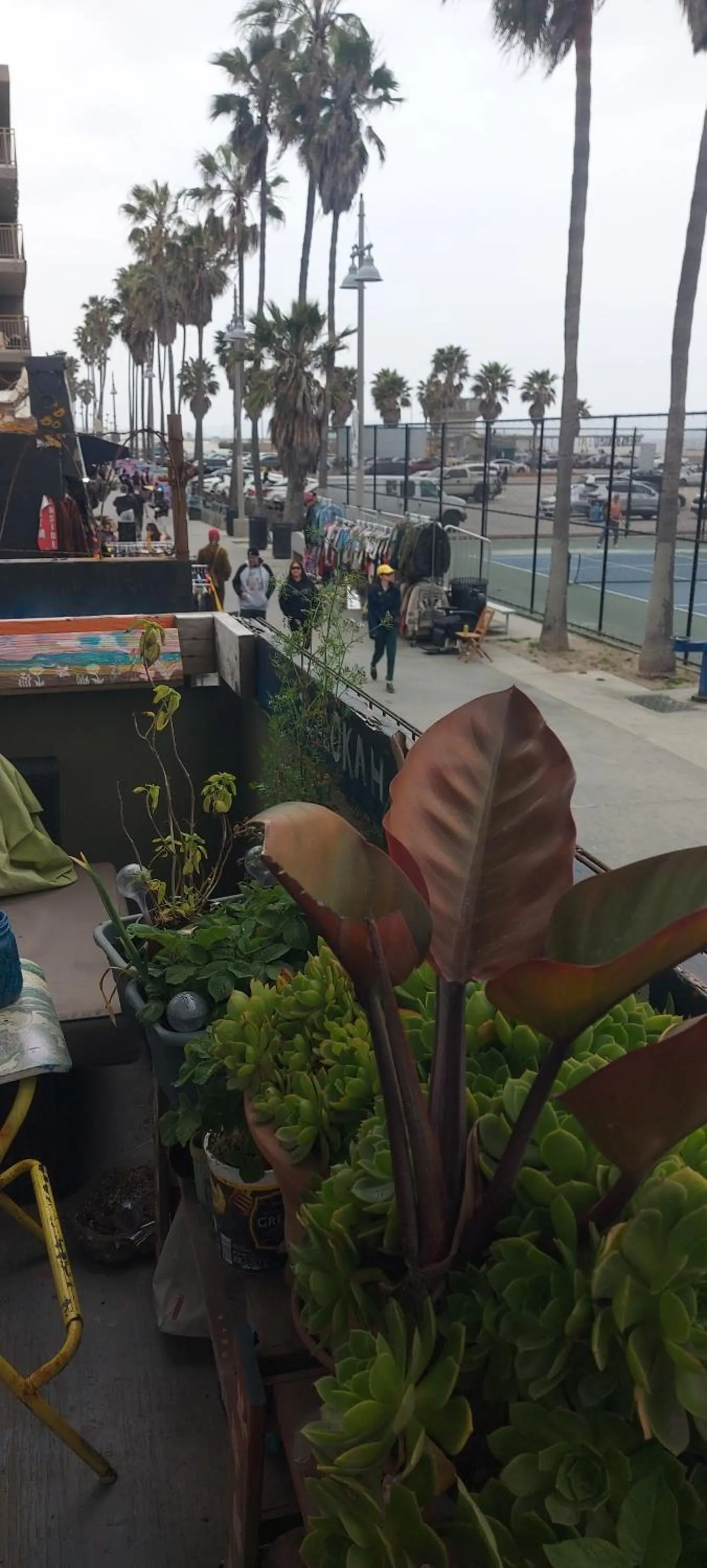 Ocean Front Vortex Female Hostel private rooms Free bikes