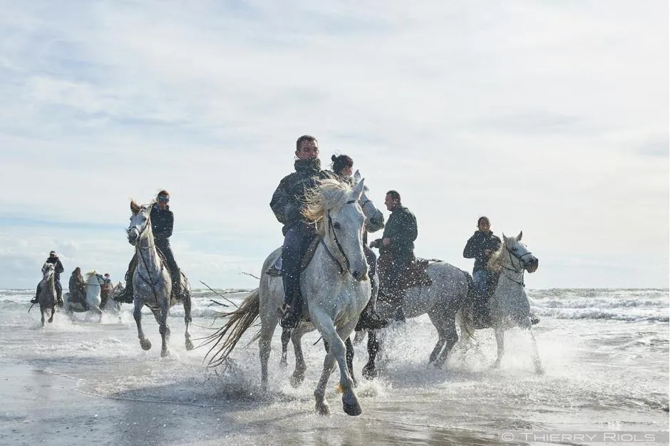 Natural landscape in Hôtel Le Neptune en Camargue