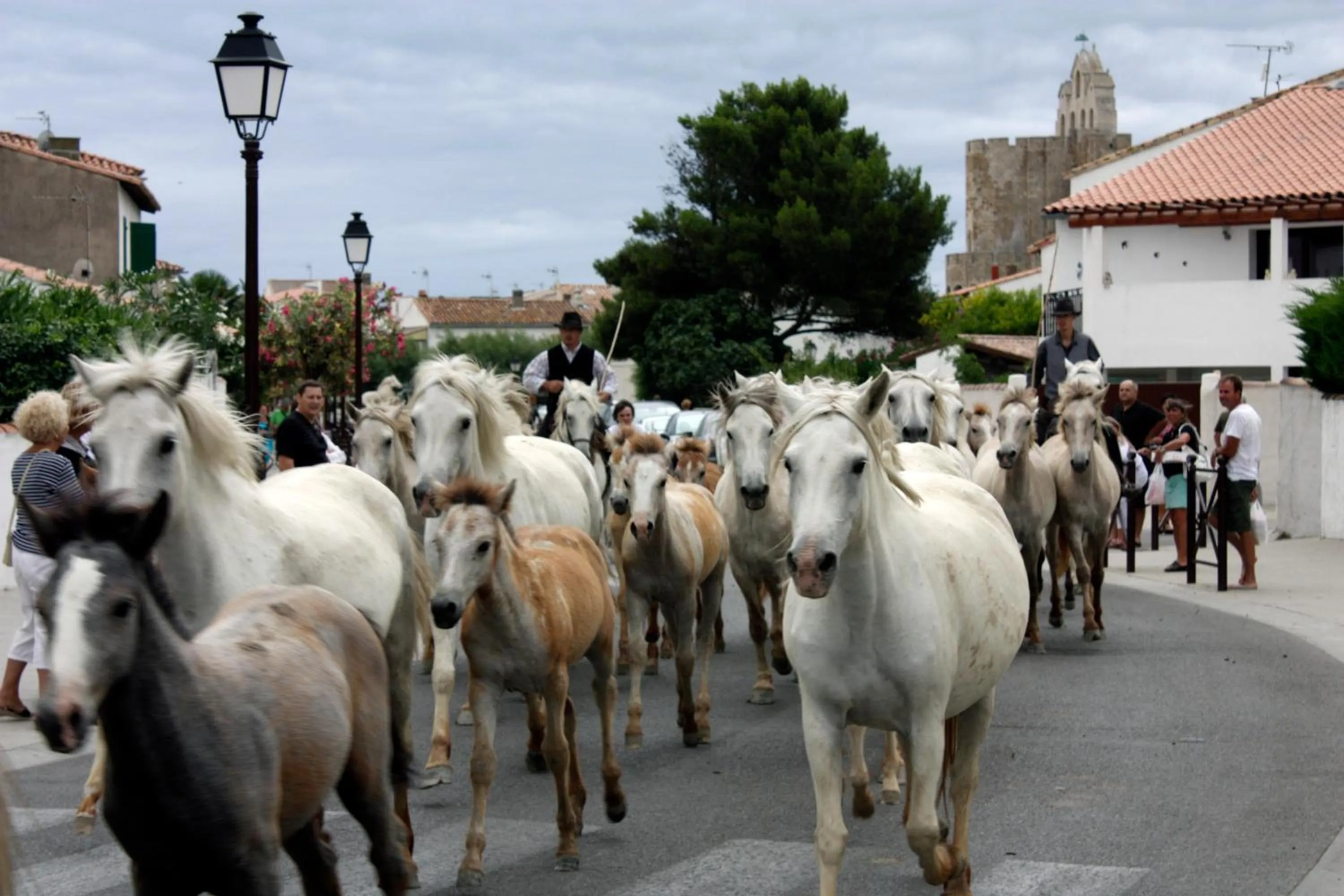 Natural landscape in Hôtel Le Neptune en Camargue