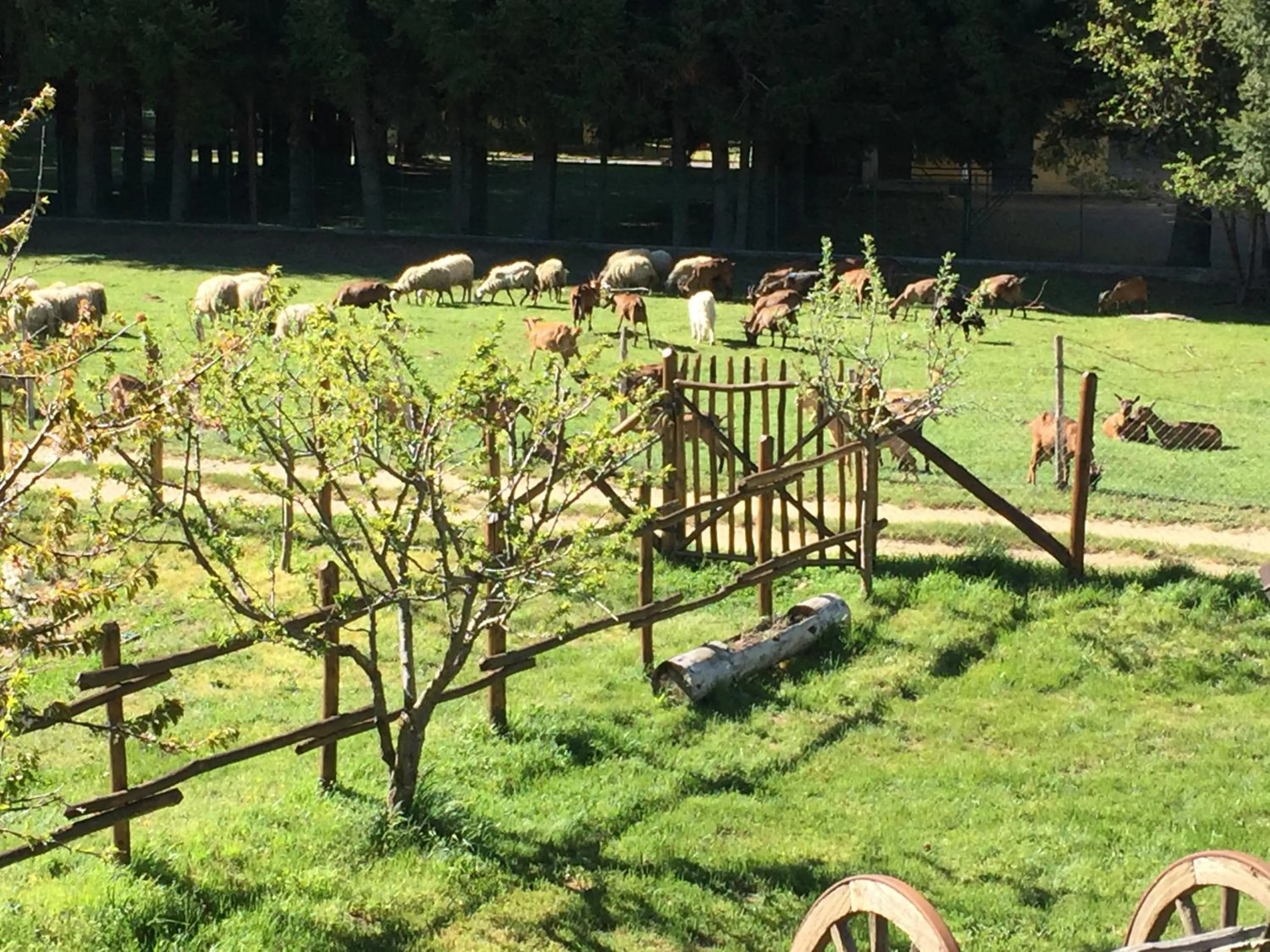 Agriturismo Fiorella