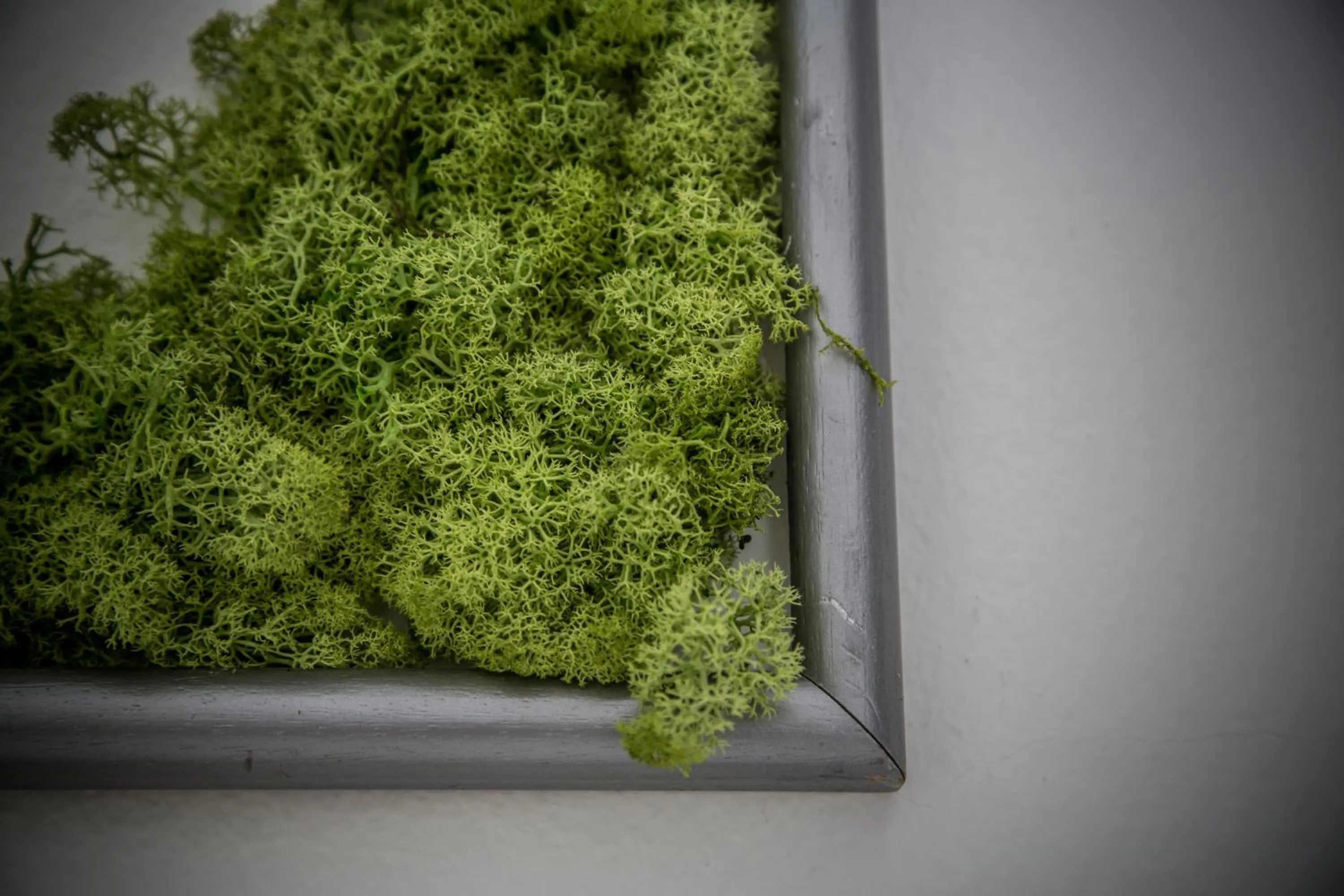 Decorative detail in Wake Up Wellness Hostel