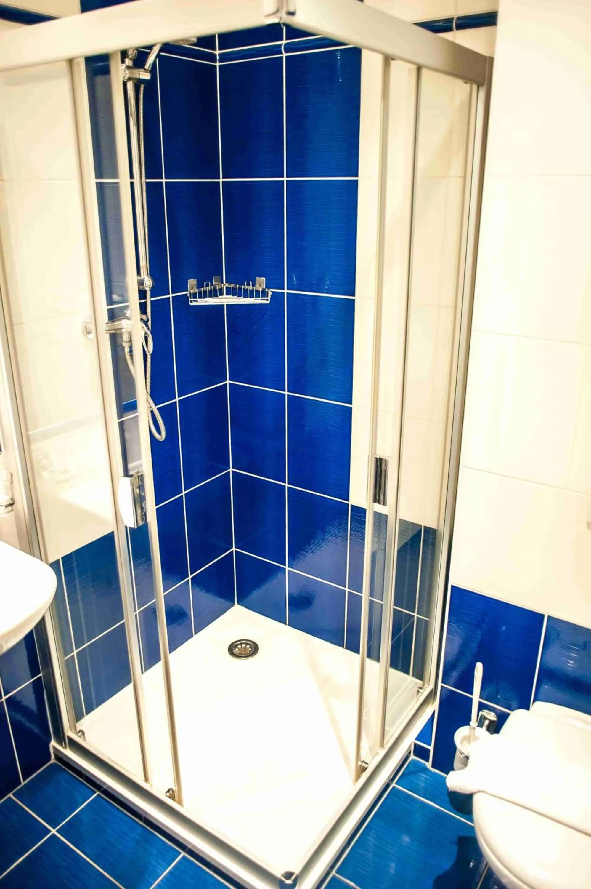 Shower in Hotel Tommy Wellness & Spa