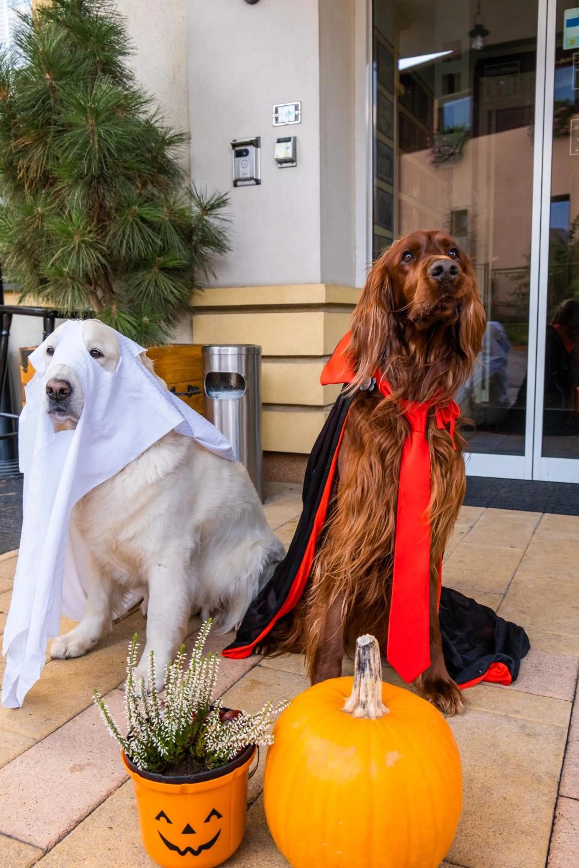 Hotel Tommy Wellness & Spa