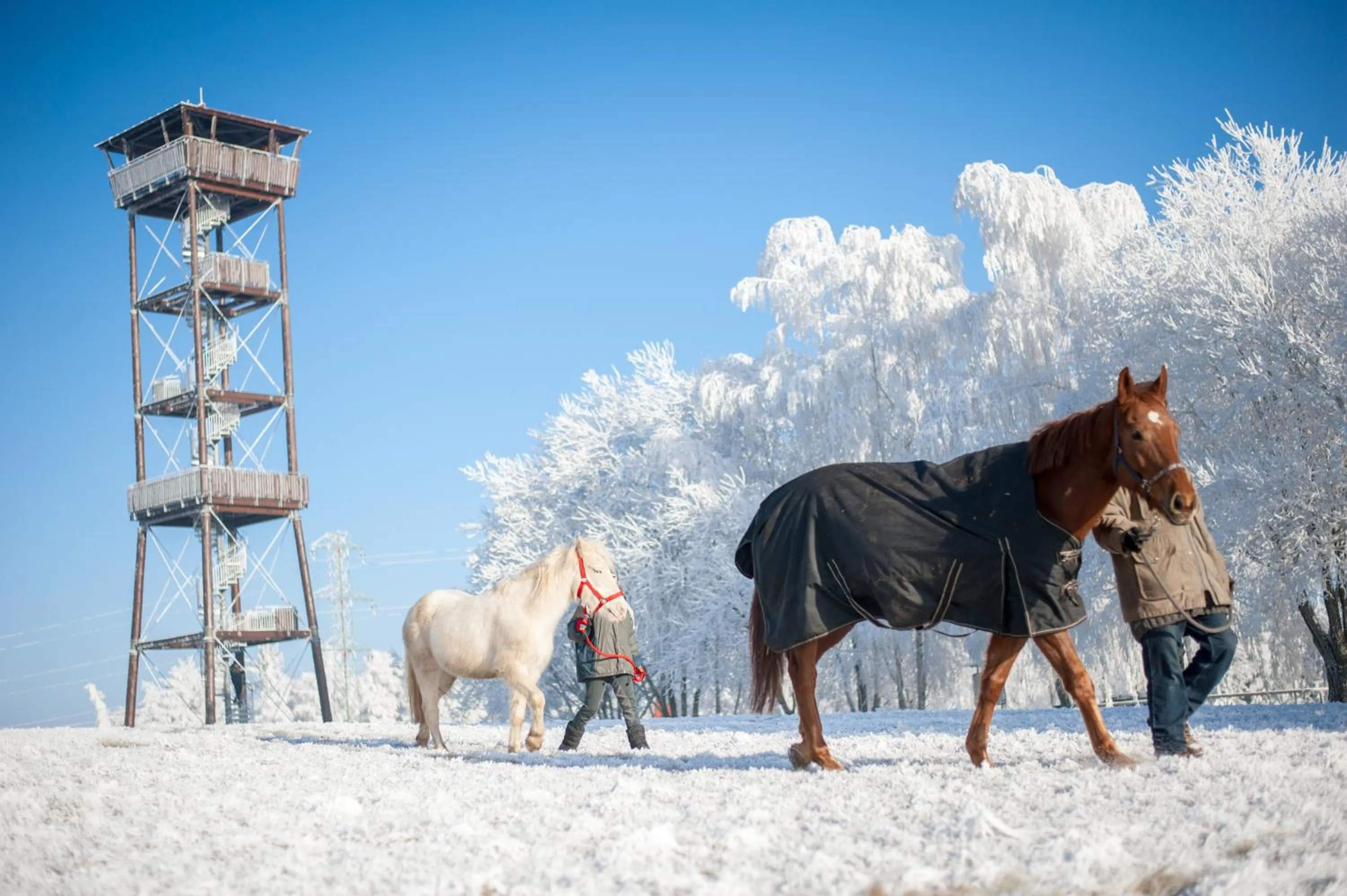 Hotel Tommy Wellness & Spa