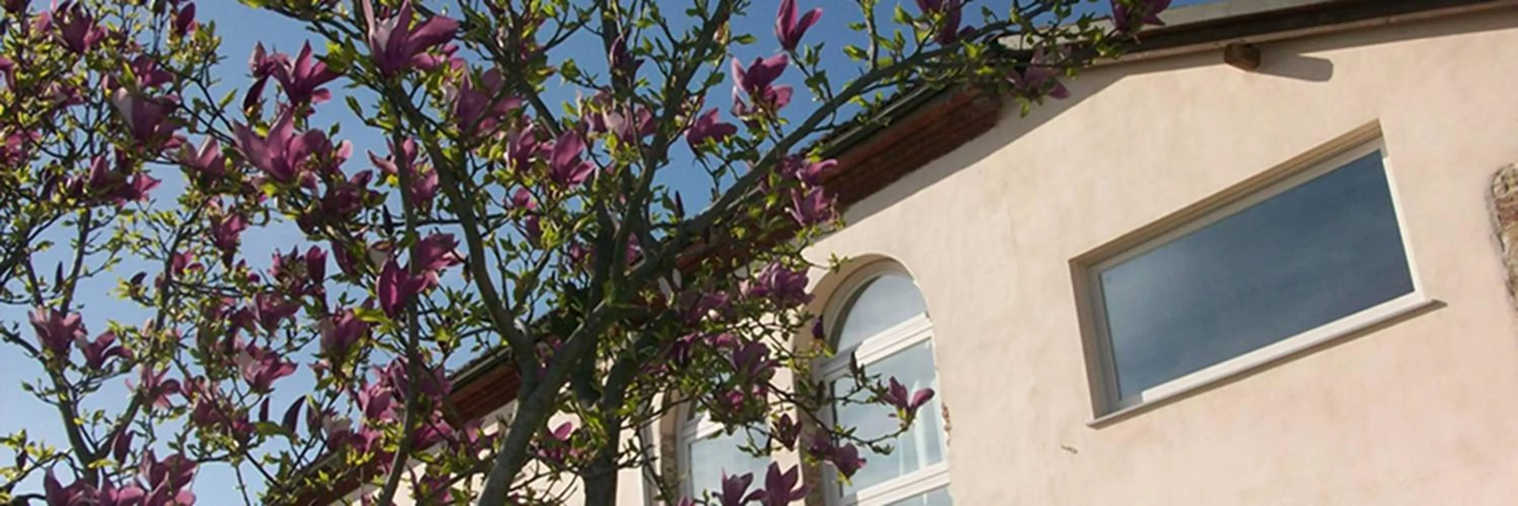 Facade/entrance in Cascina Marcantonio
