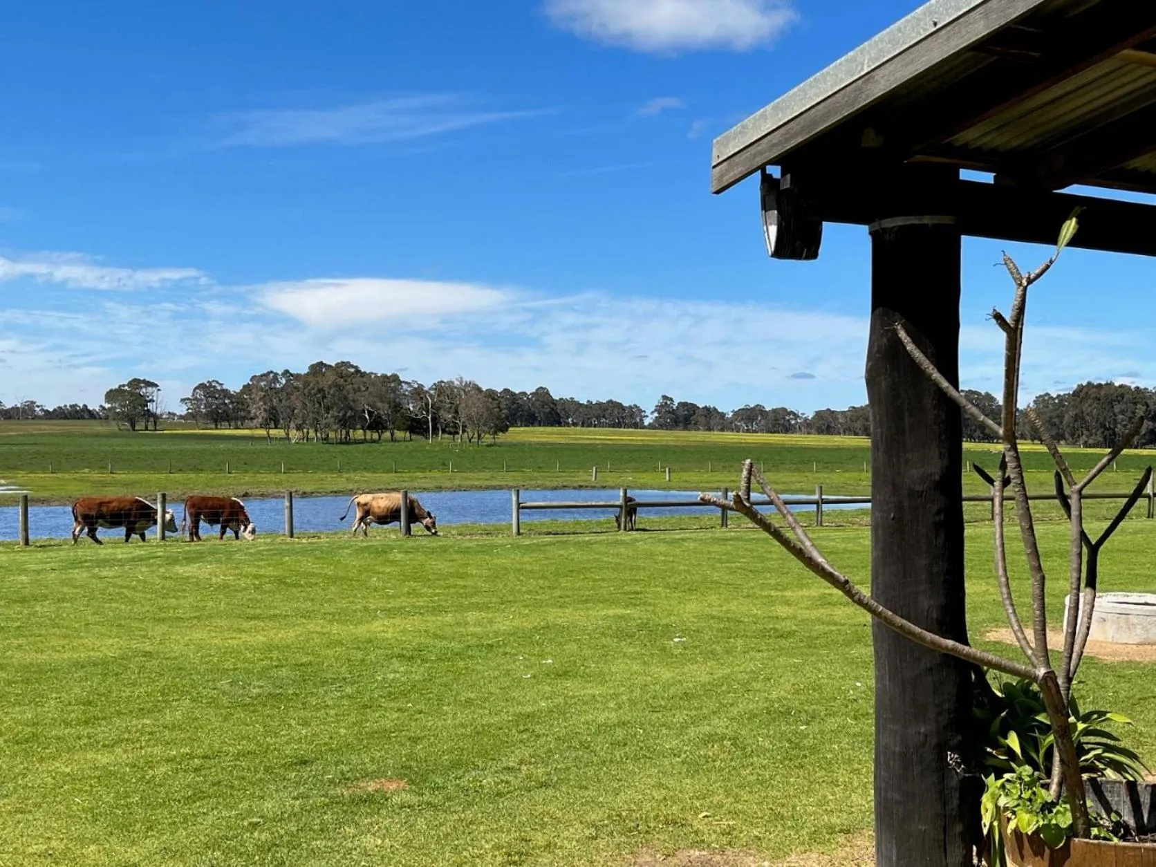 Natural landscape in BIG4 Taunton Farm