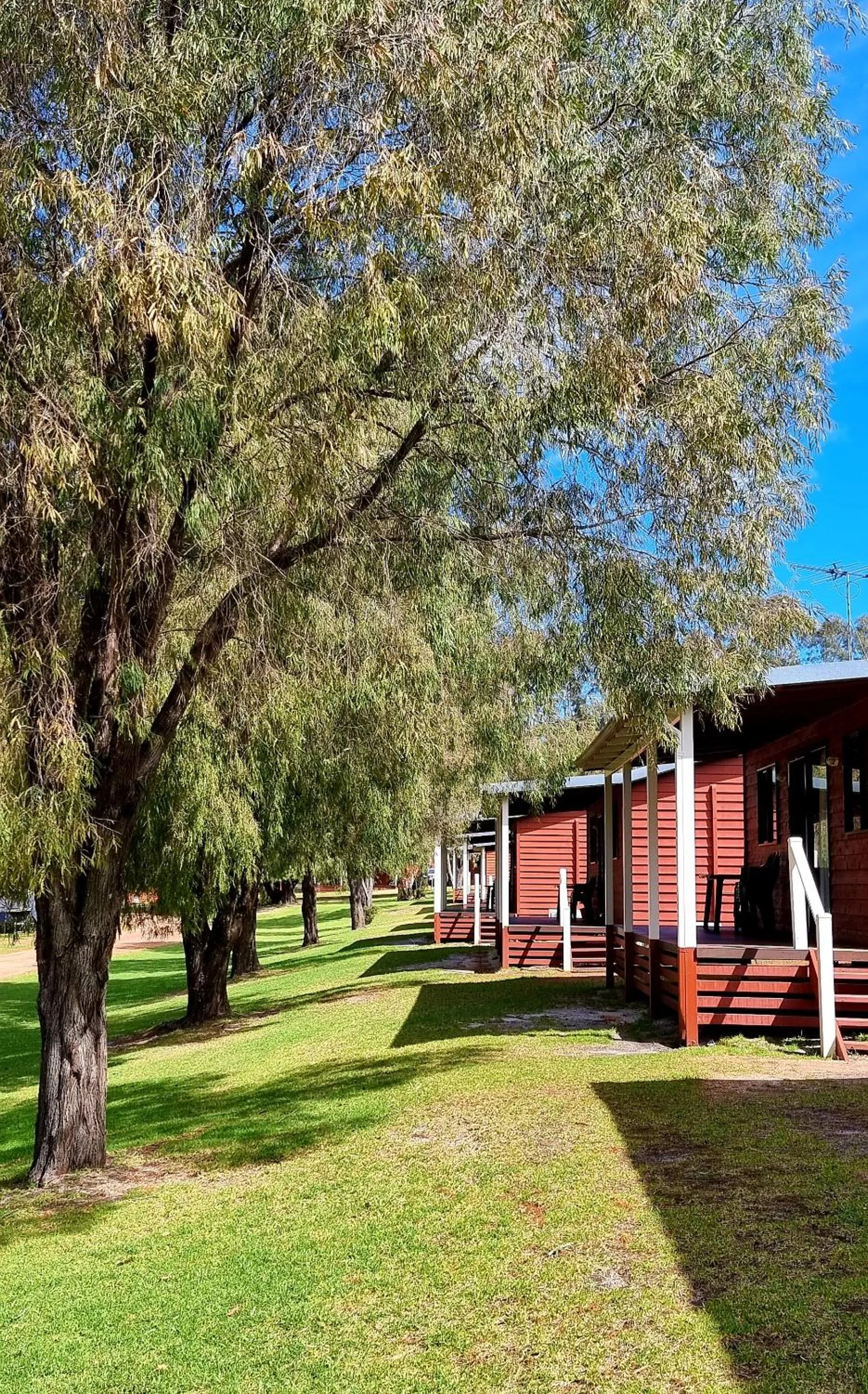 View (from property/room) in BIG4 Taunton Farm