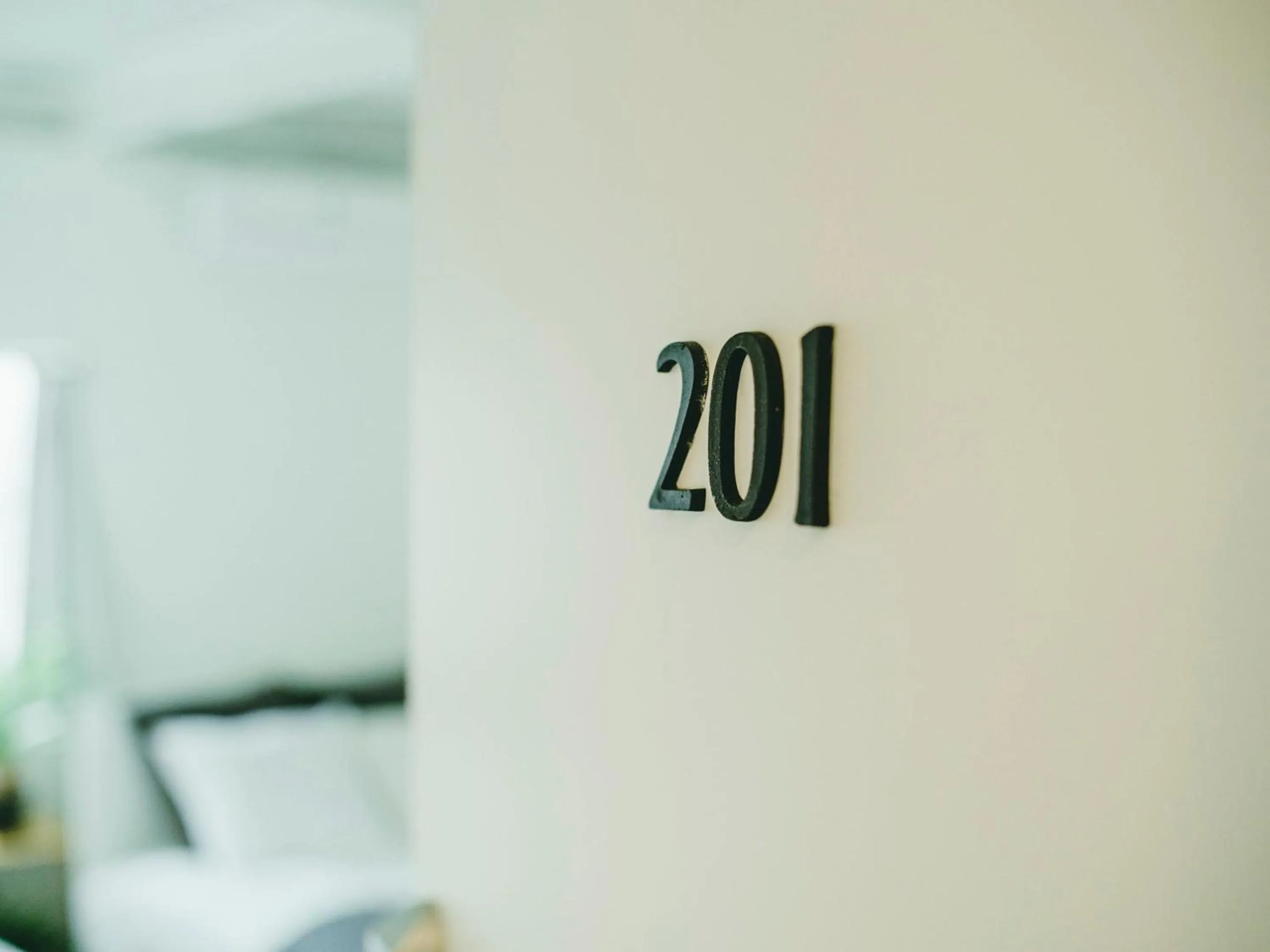 Photo of the whole room in Hippo Hostel and Cafe Bar