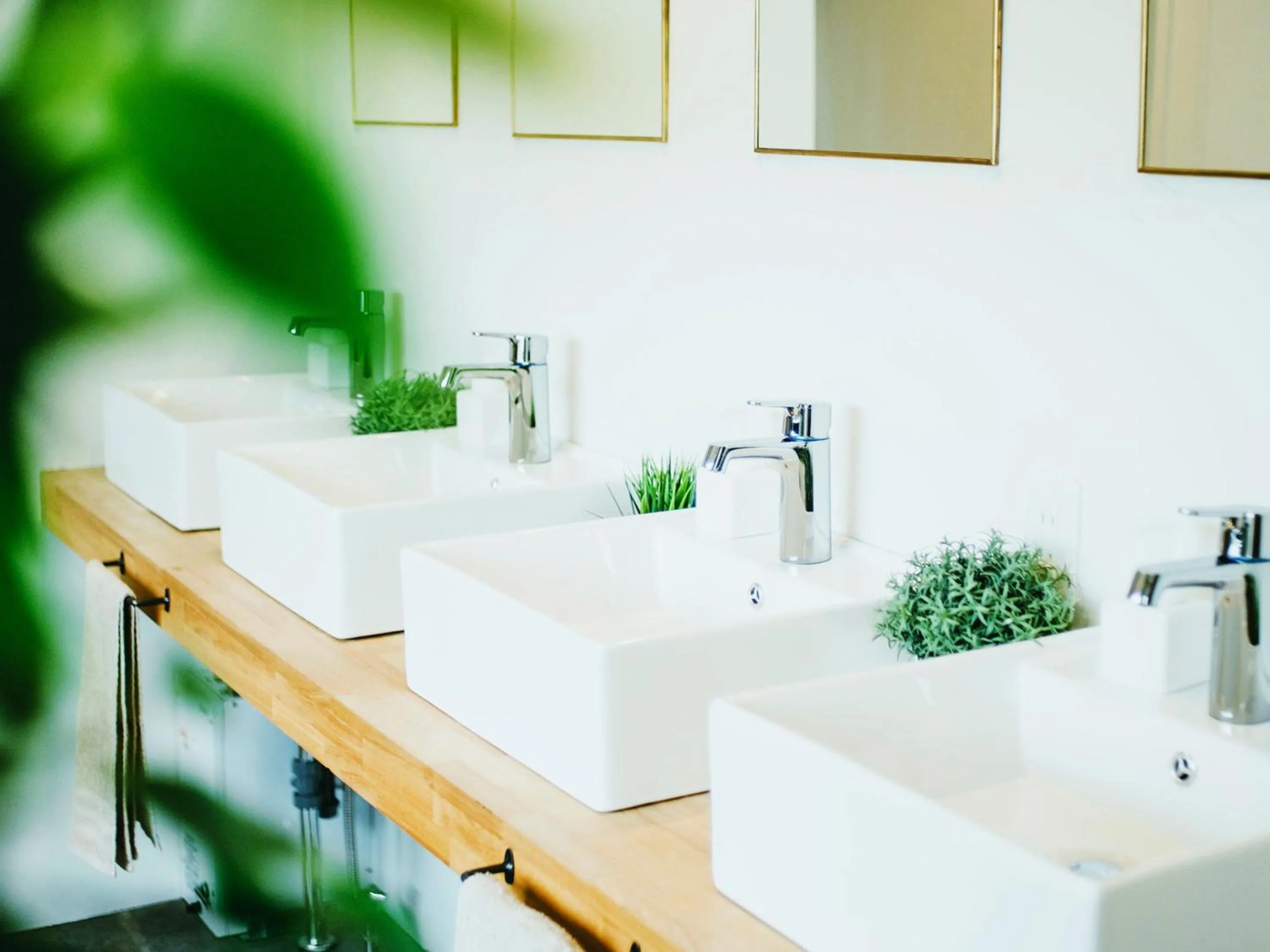 Area and facilities in Hippo Hostel and Cafe Bar