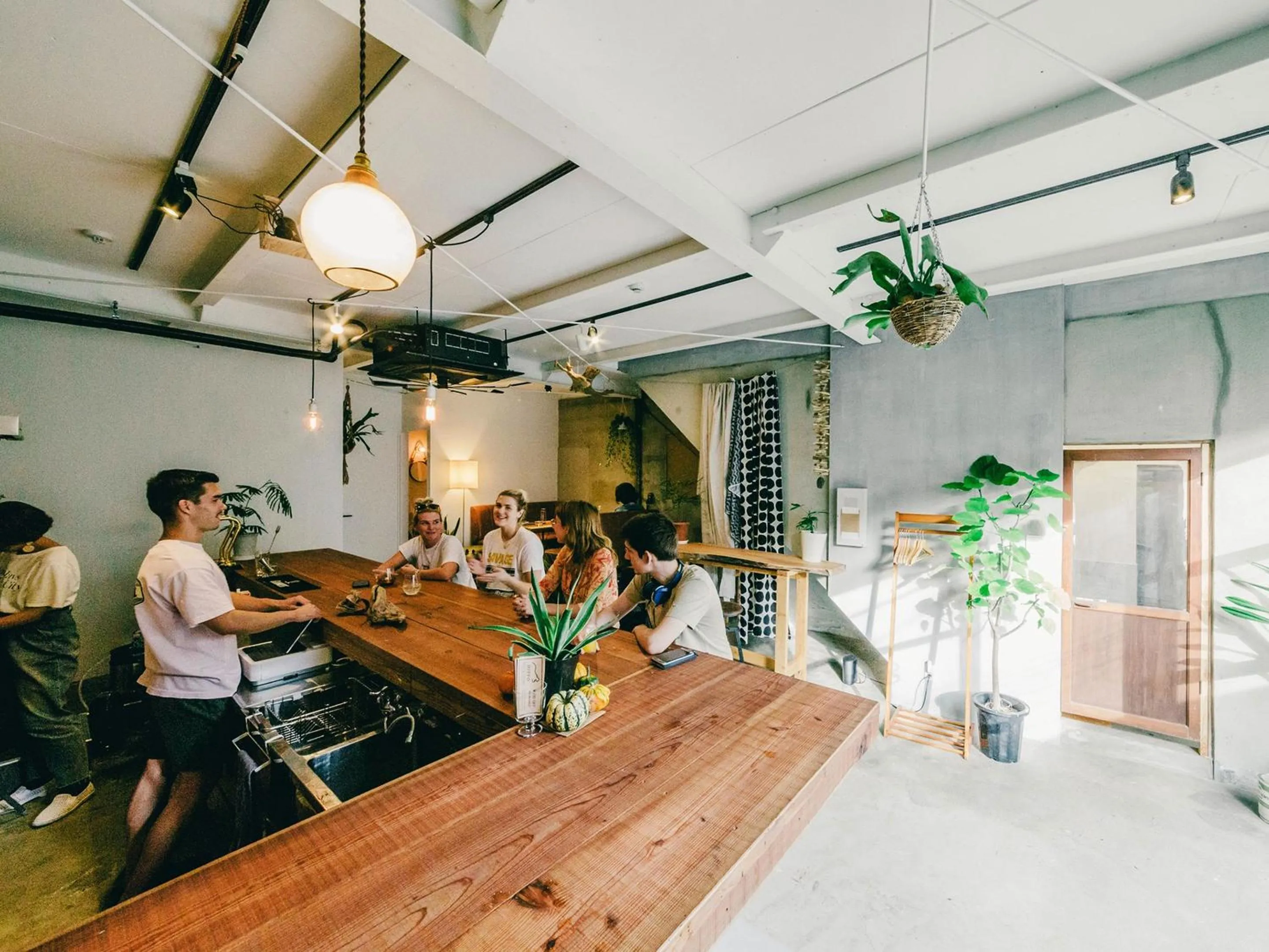 Lounge or bar in Hippo Hostel and Cafe Bar