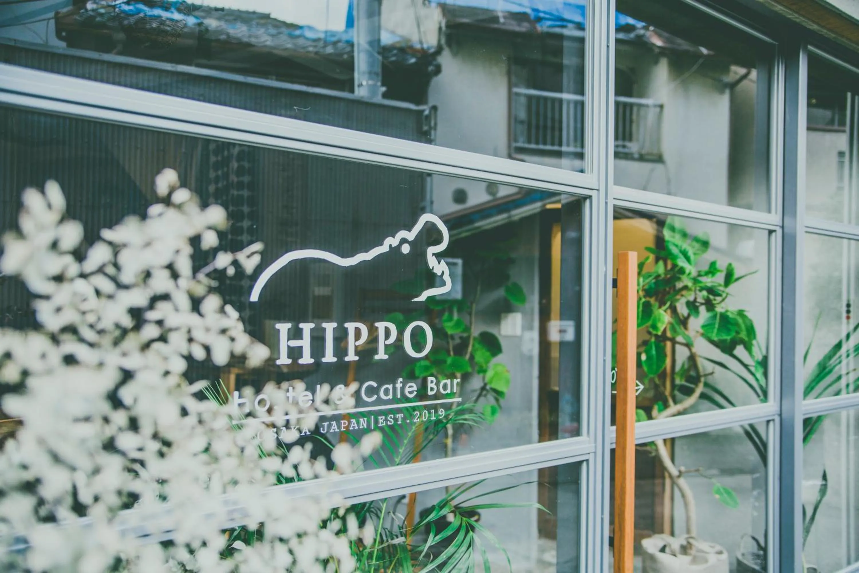 Facade/entrance in Hippo Hostel and Cafe Bar