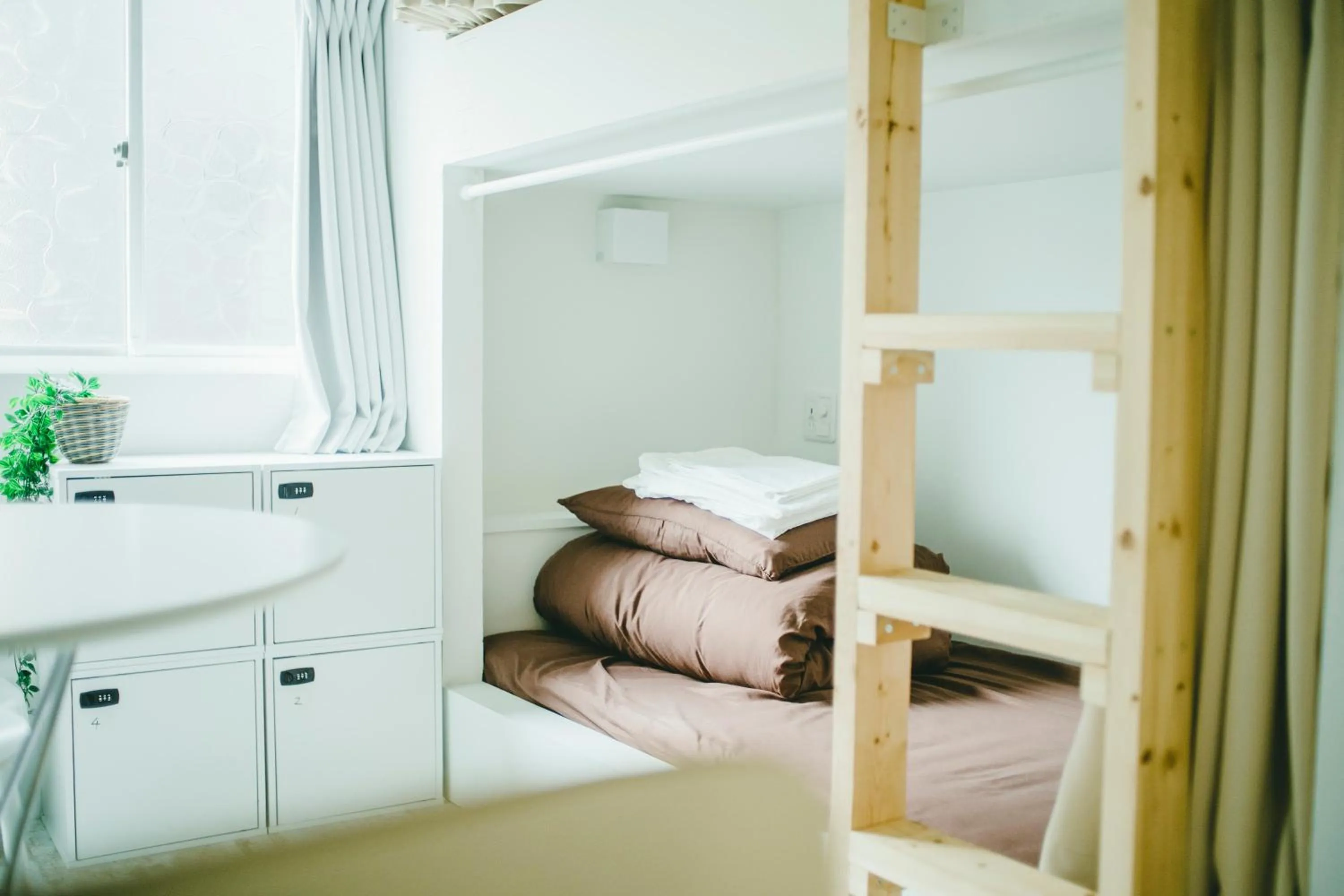 bunk bed, Bed in Hippo Hostel and Cafe Bar