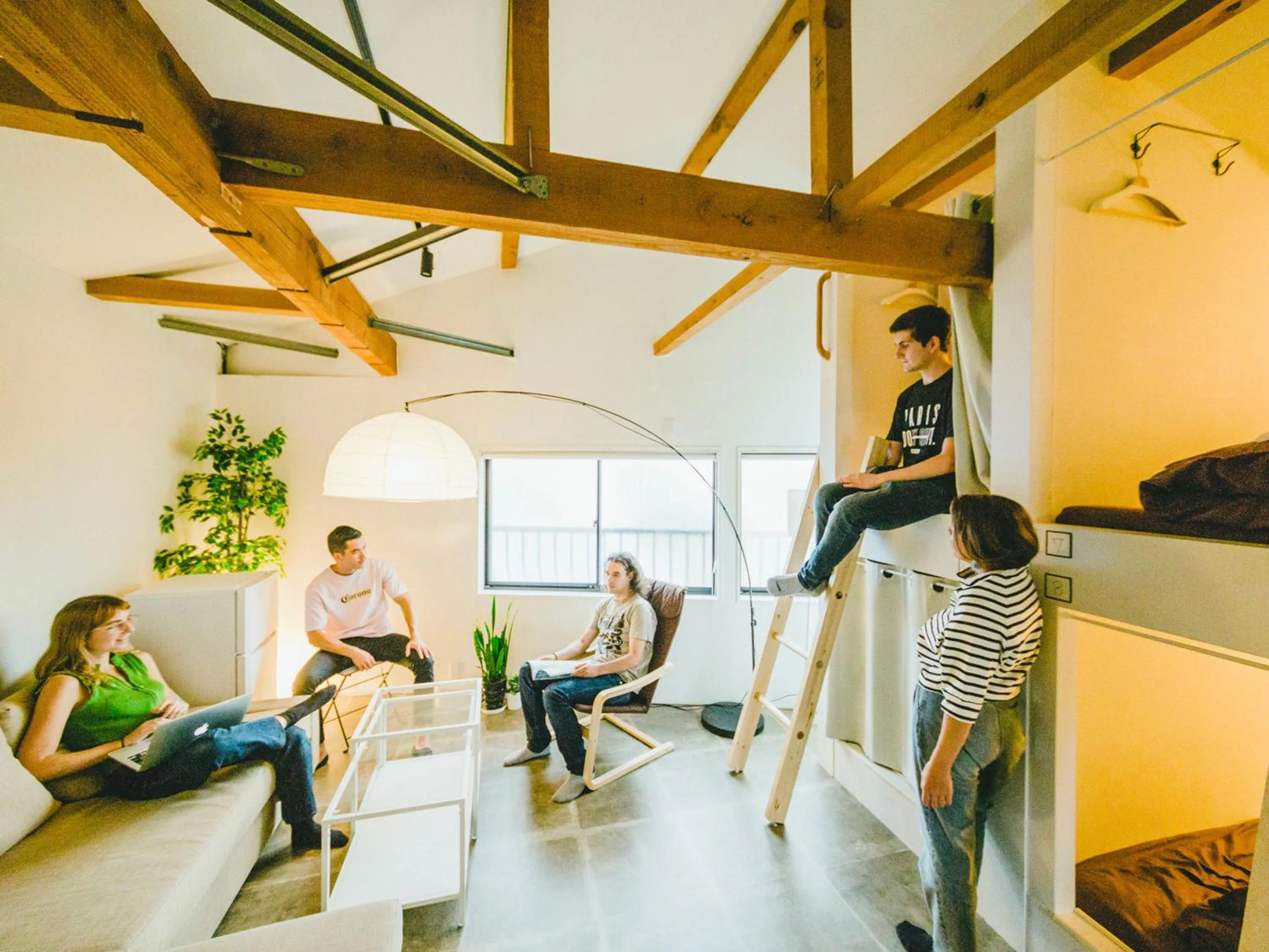 Photo of the whole room in Hippo Hostel and Cafe Bar