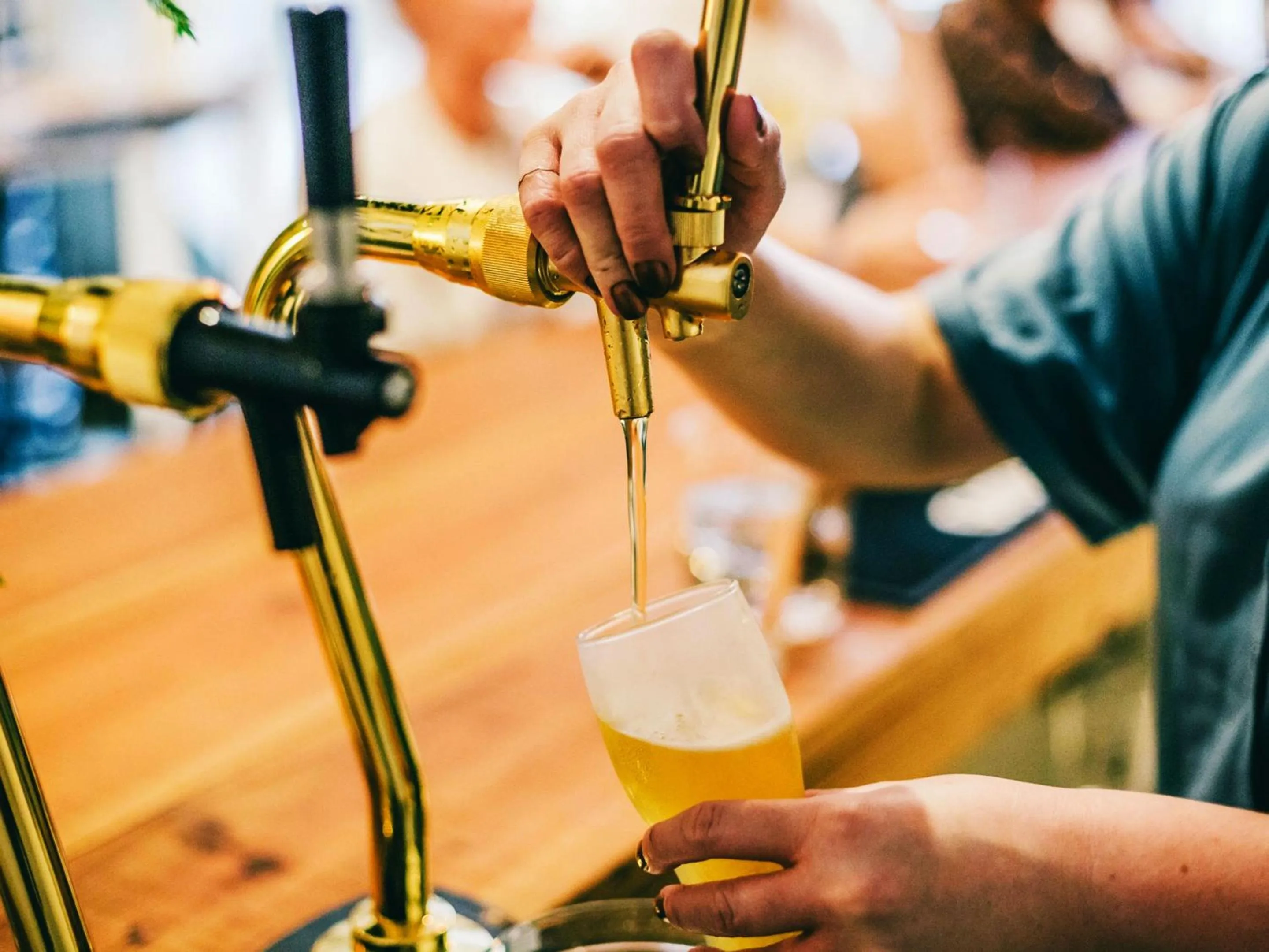 Lounge or bar in Hippo Hostel and Cafe Bar