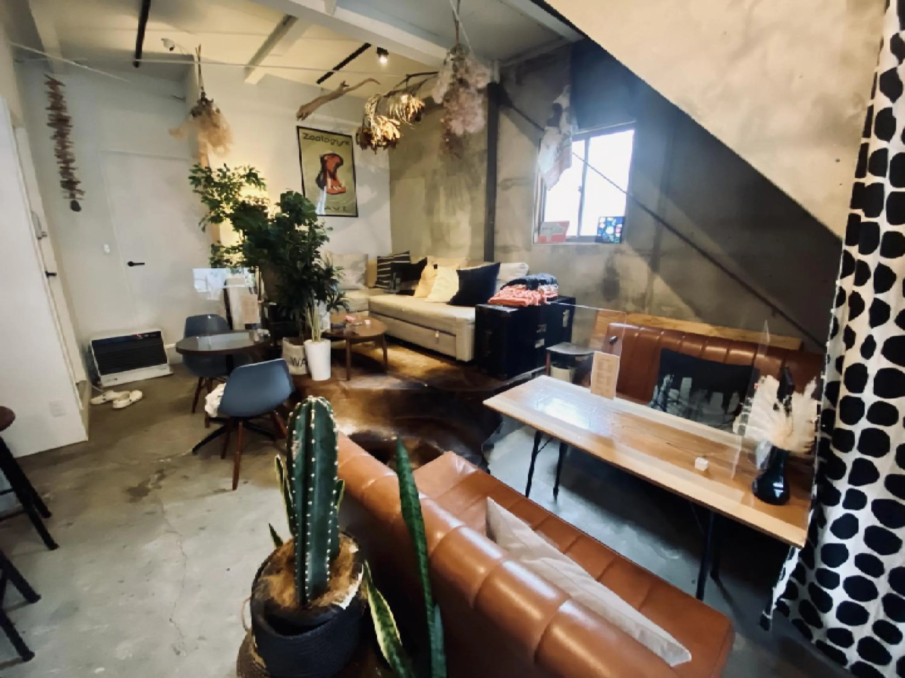 Area and facilities in Hippo Hostel and Cafe Bar