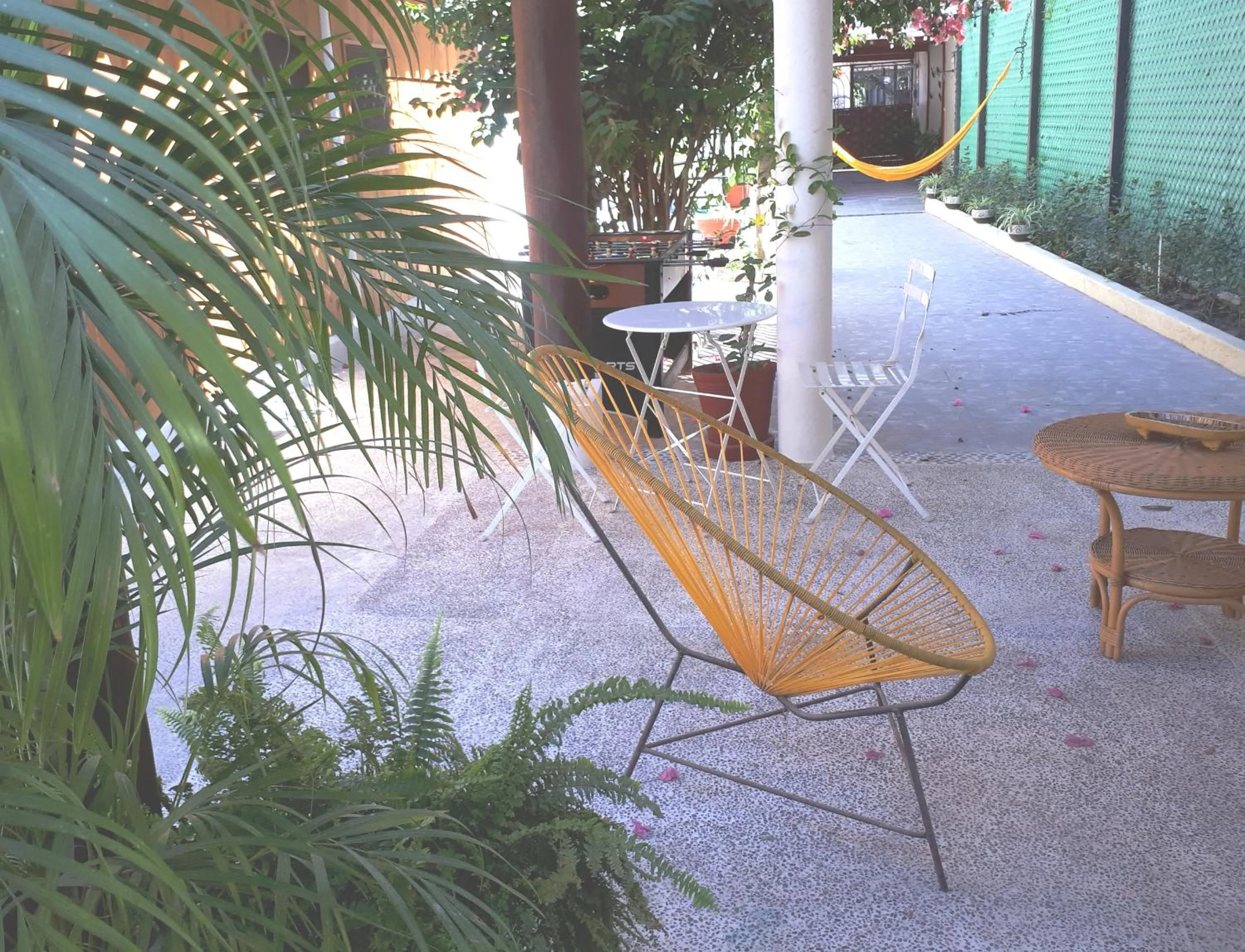 Garden in Casa Lao Centro