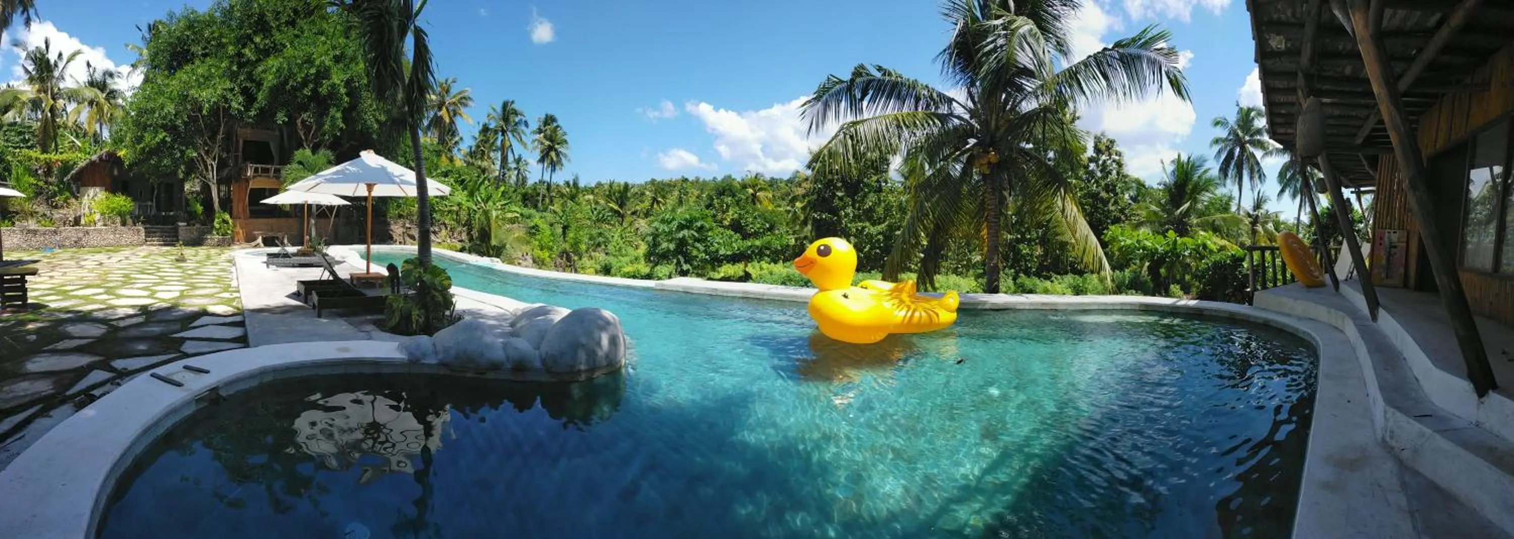 Swimming pool in Gading Tree House