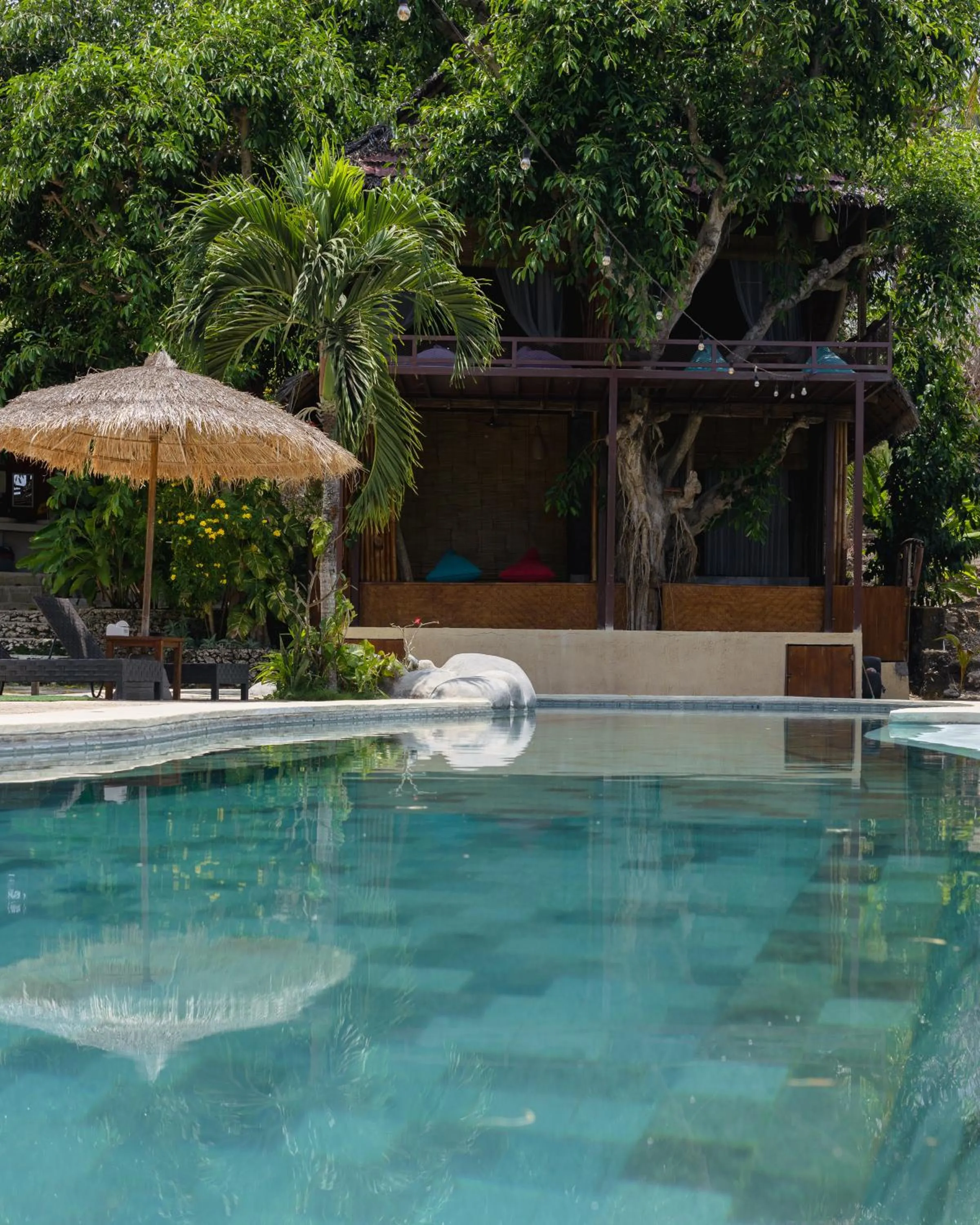 Property building in Gading Tree House