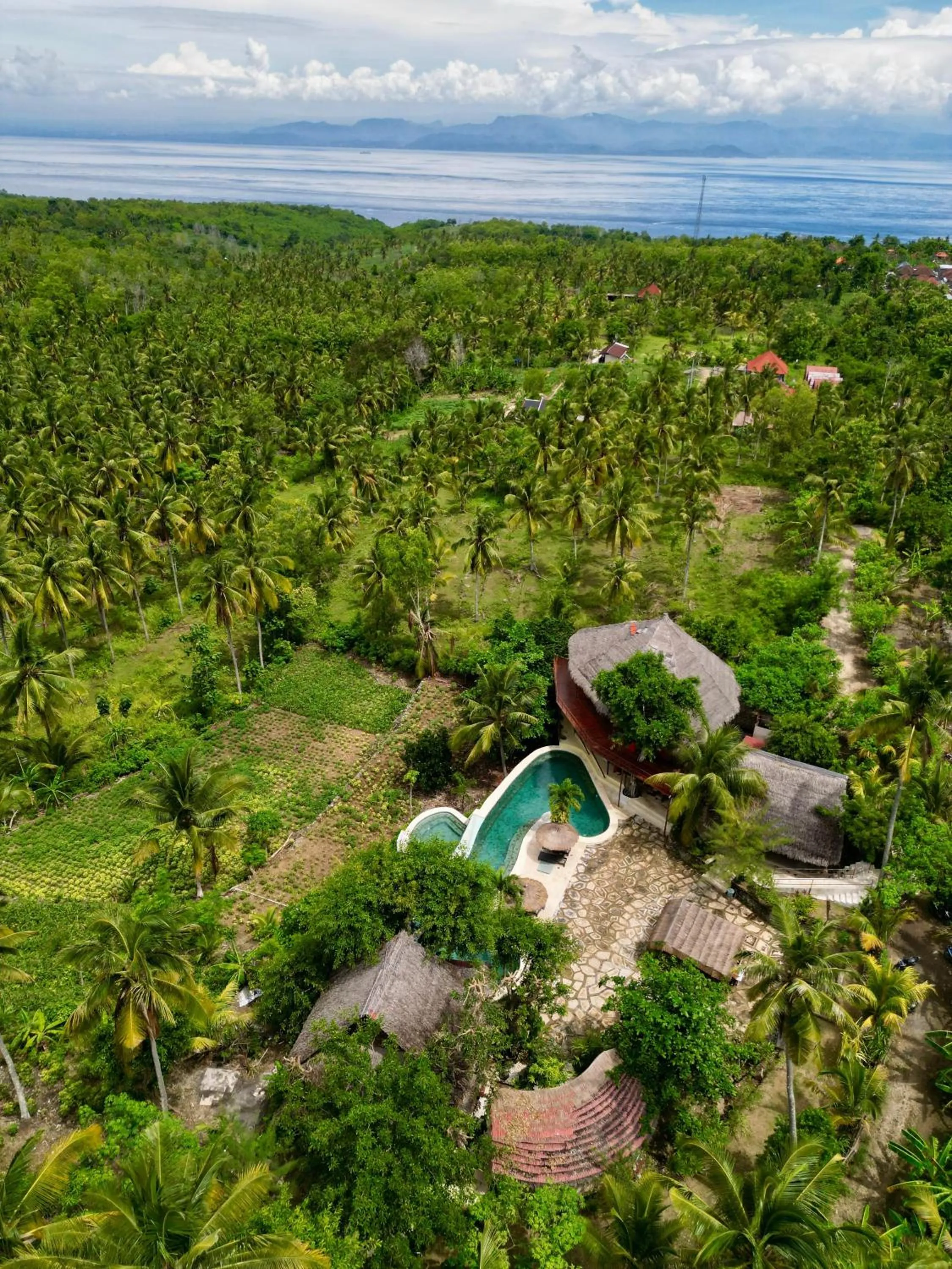 Property building in Gading Tree House