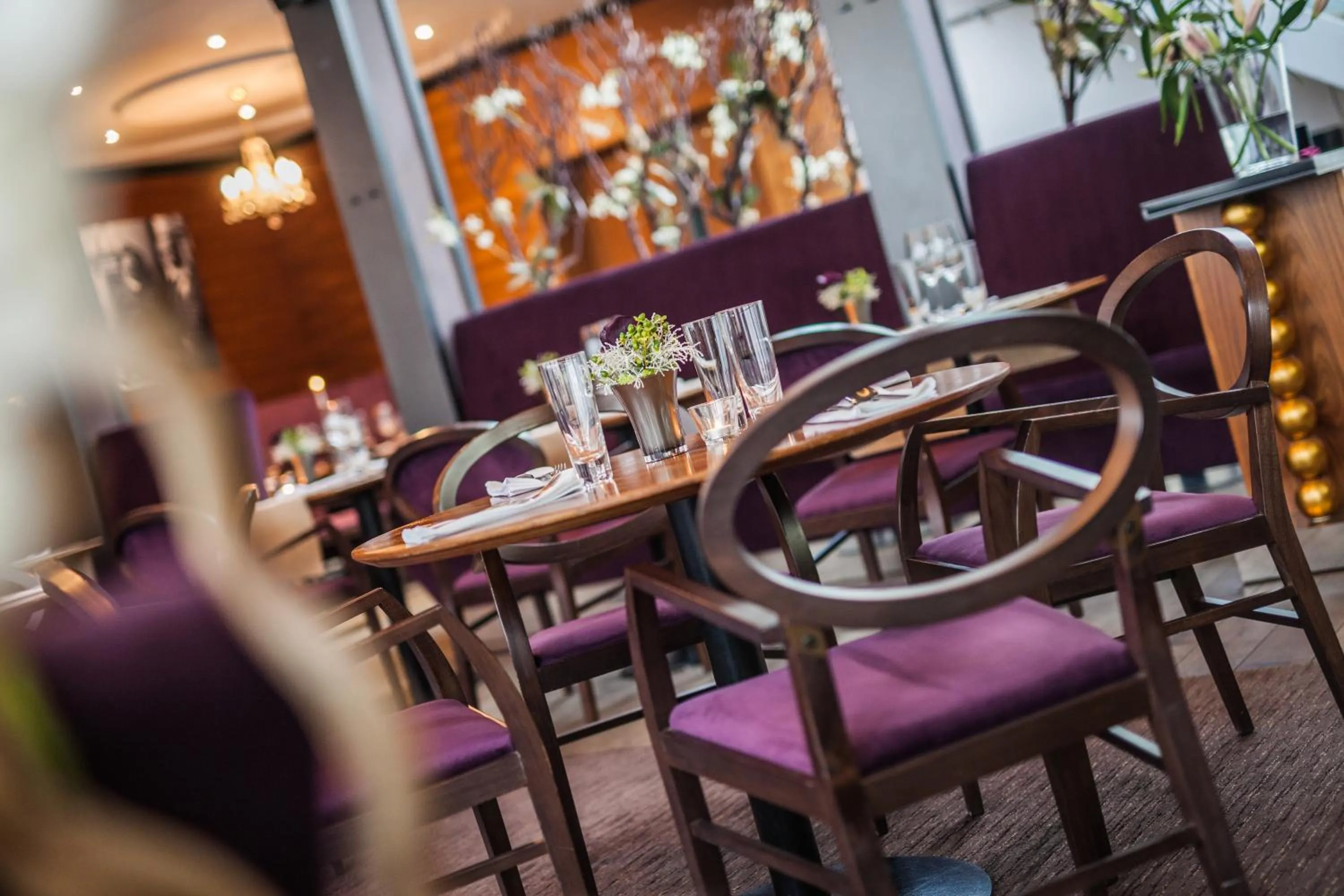 Restaurant/places to eat in Hotel Aplaus