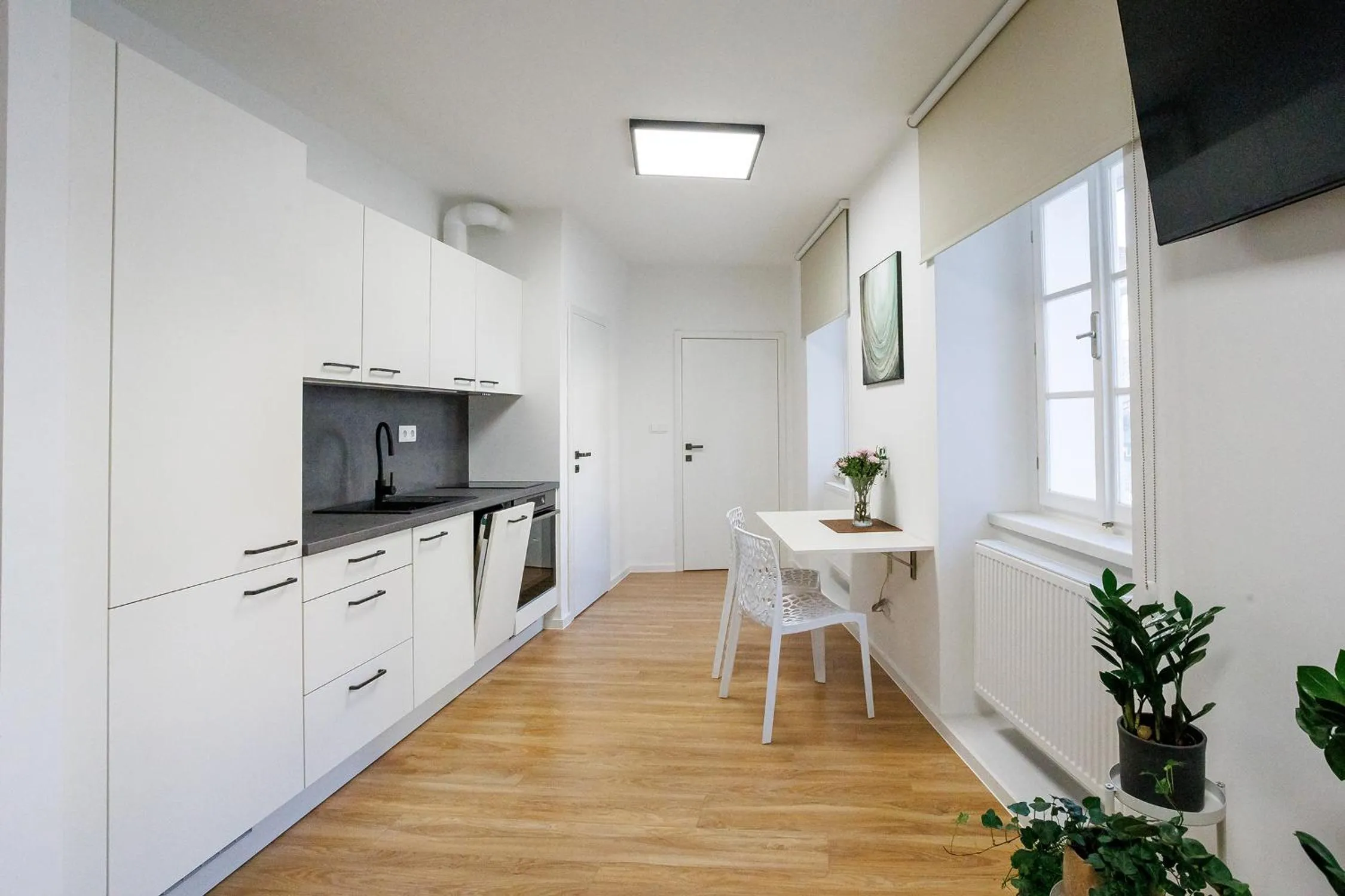 Kitchen or kitchenette in Hotel Aplaus