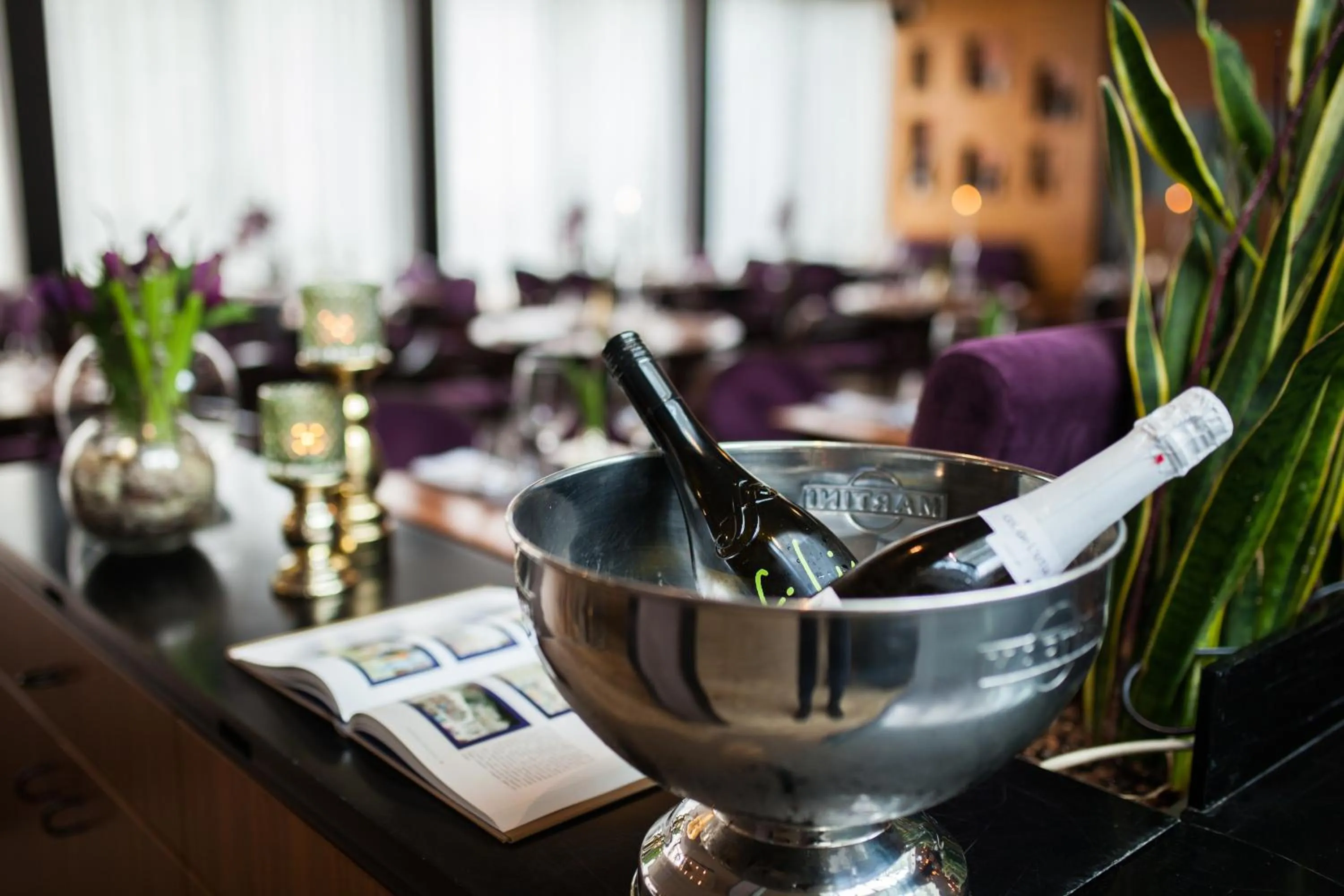 Drinks in Hotel Aplaus