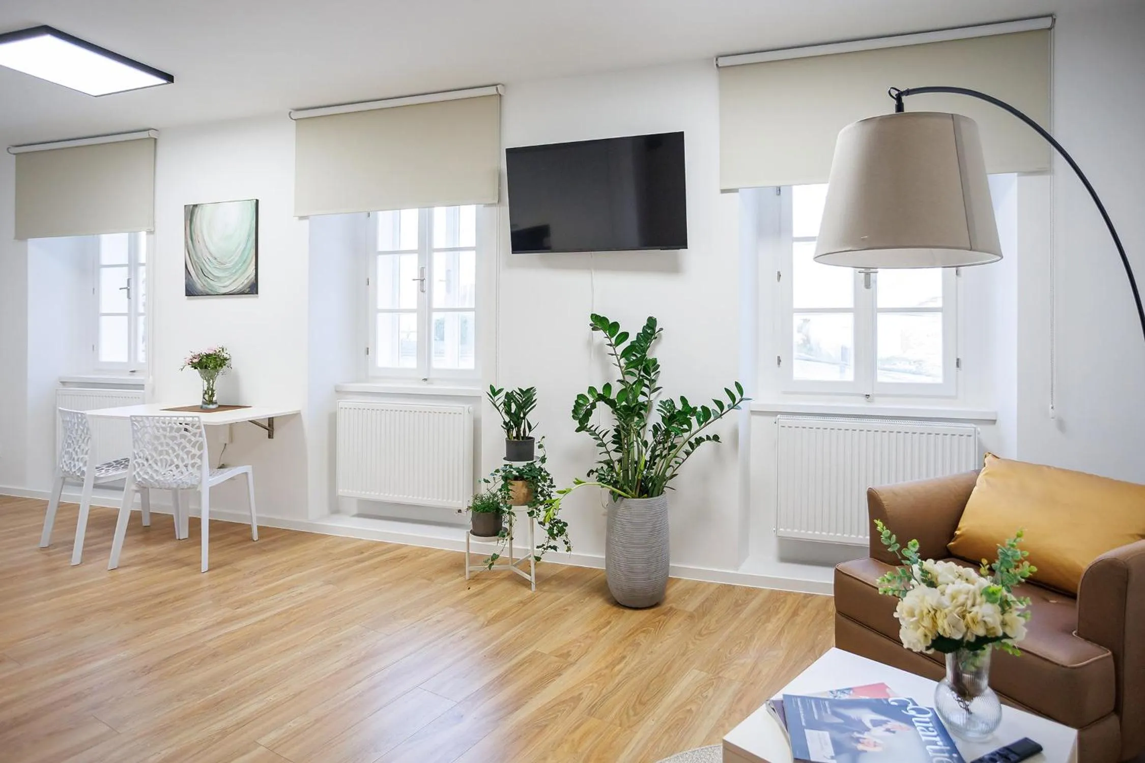 TV and multimedia in Hotel Aplaus