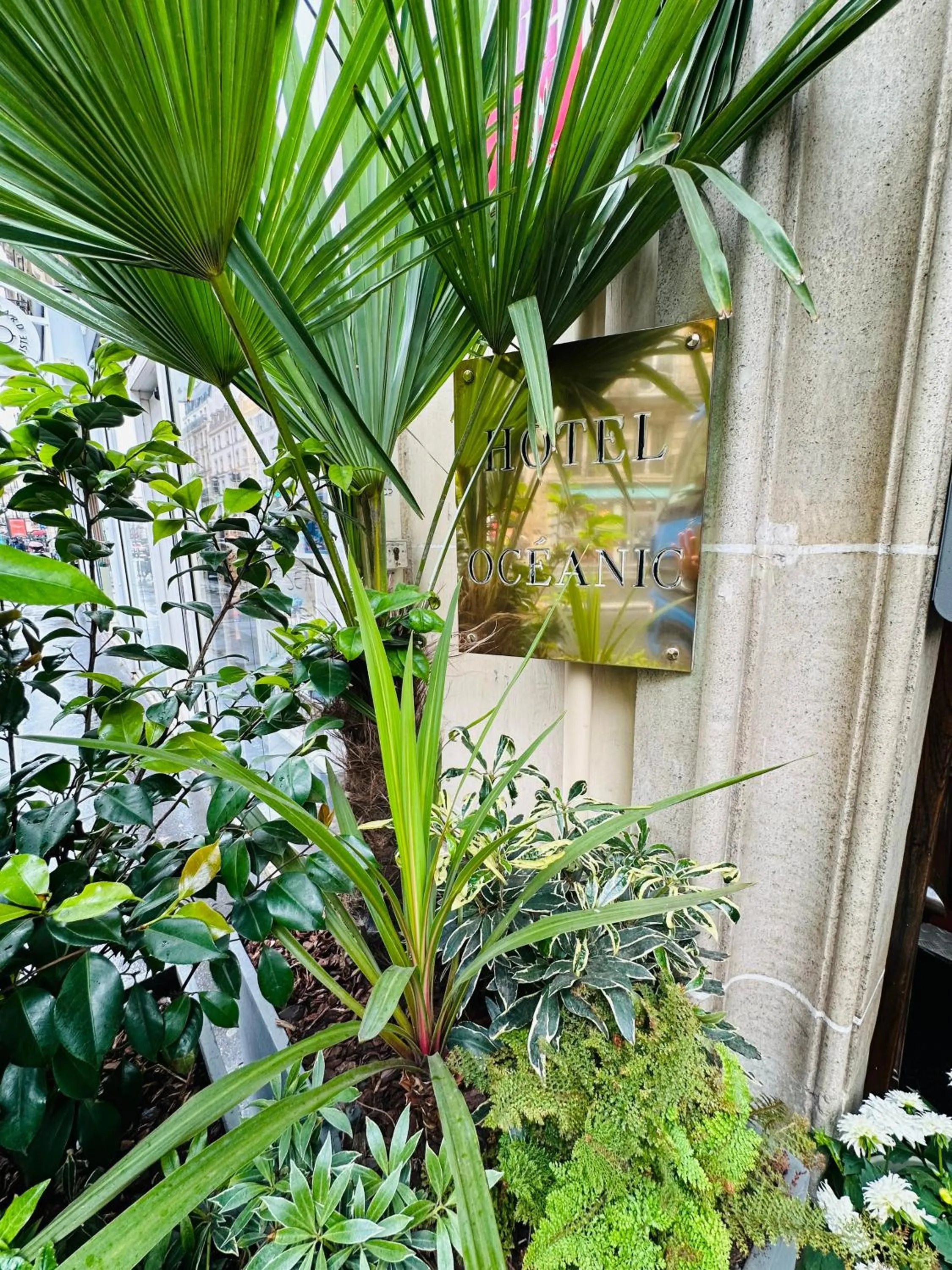 Property building in Hôtel Océanic - Grands Magasins