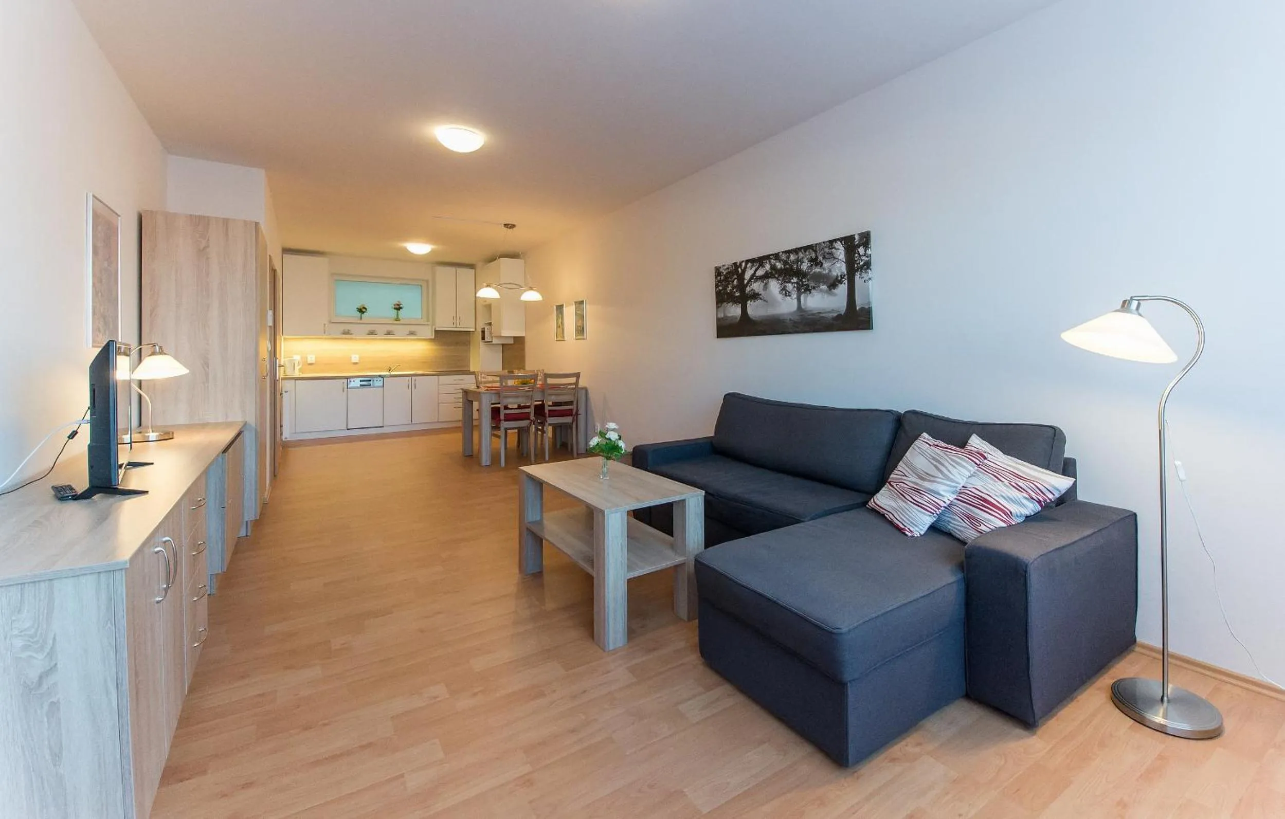 Apartmán U Lázní D22