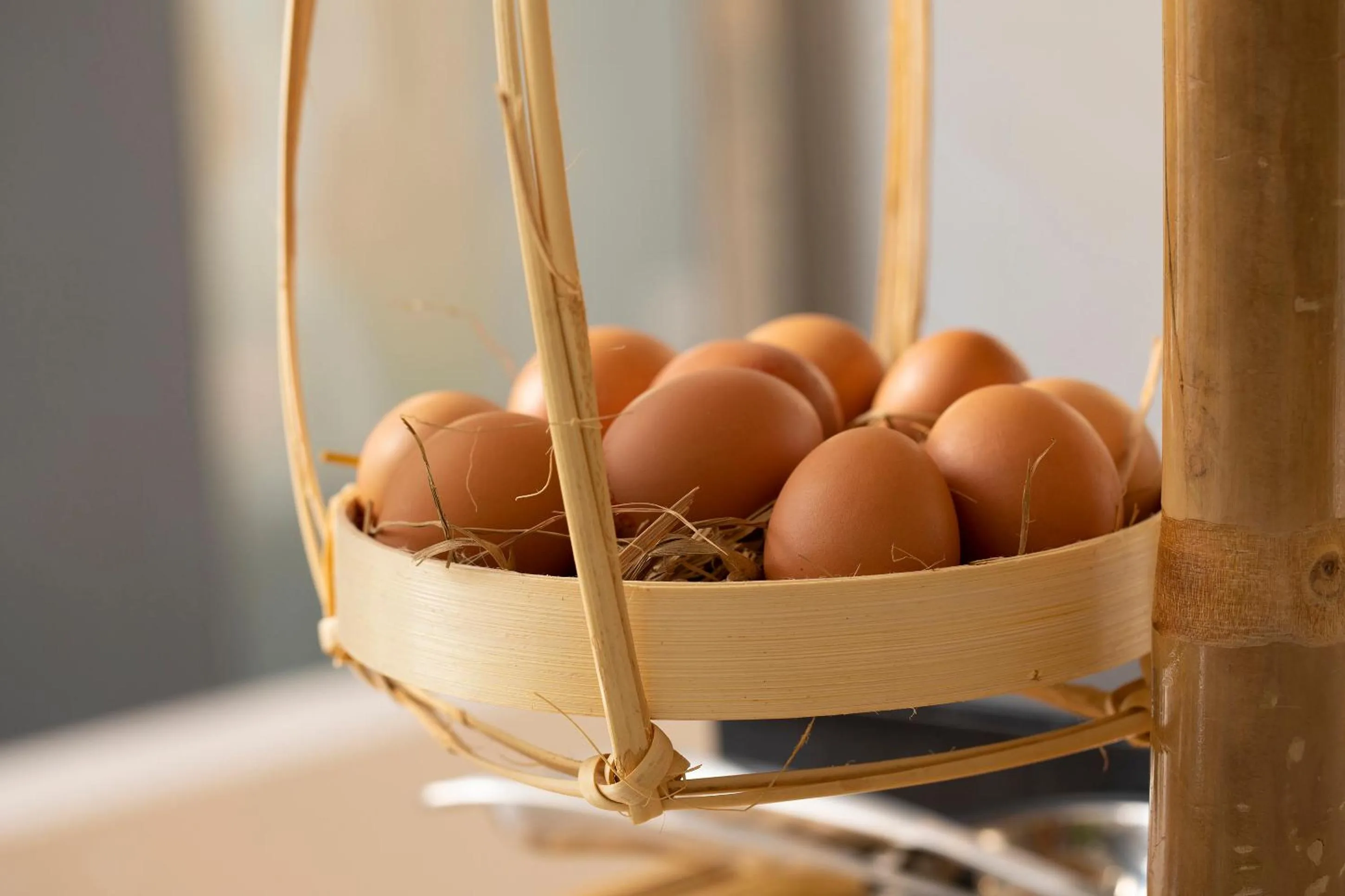 Food in Sabina Boutique Hotel 2