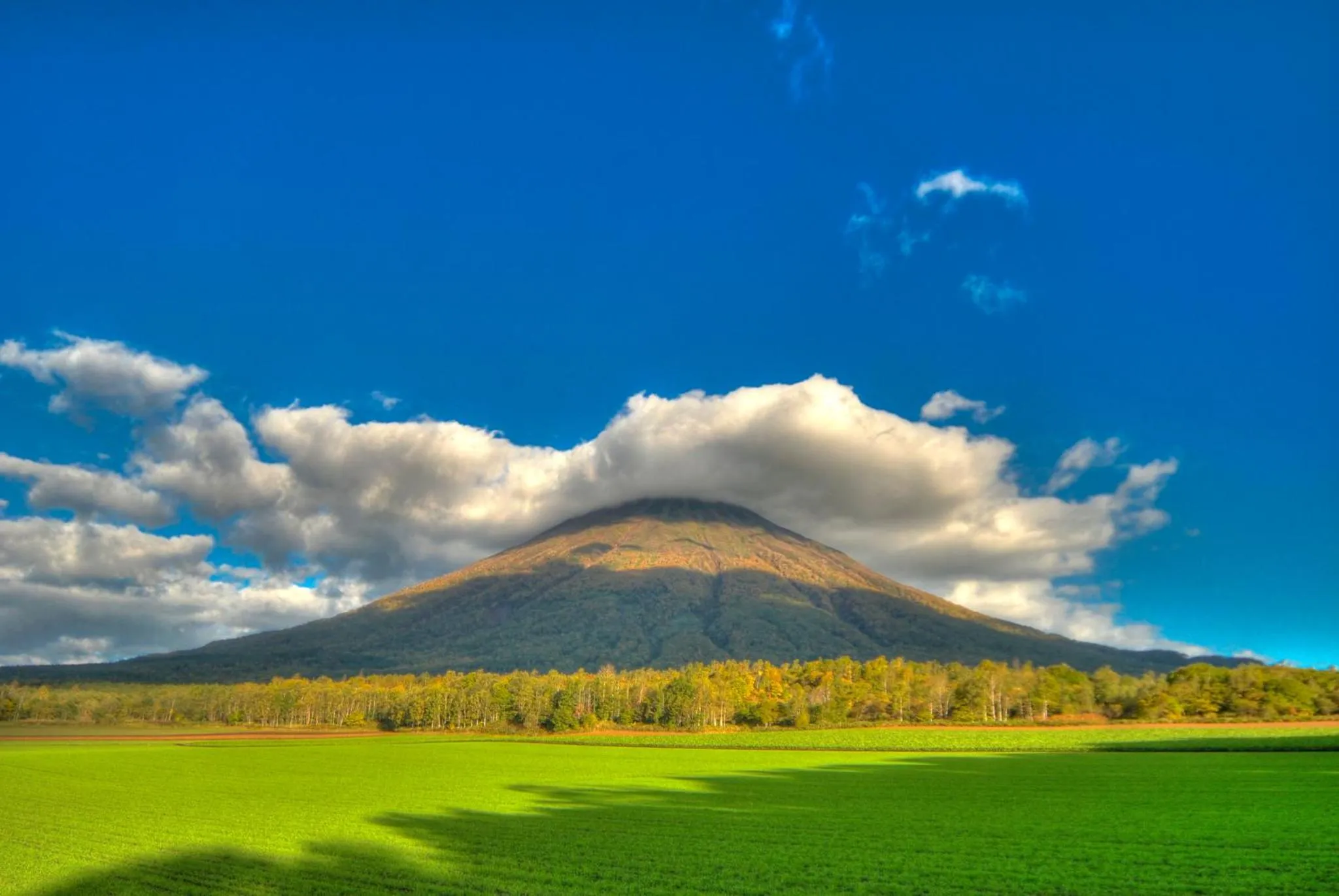 Natural landscape in Midtown Niseko