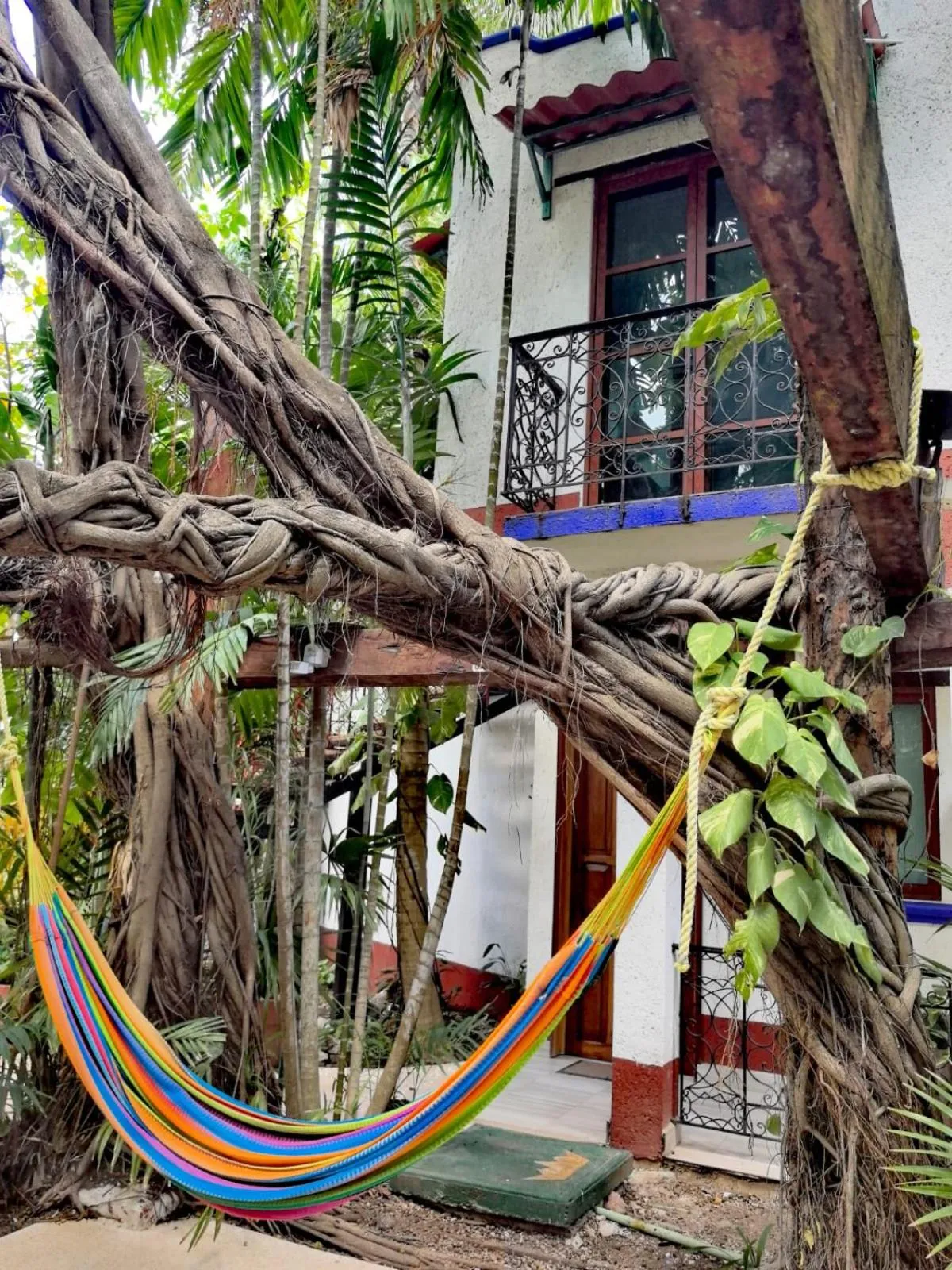 Property building in Eco-hotel El Rey del Caribe