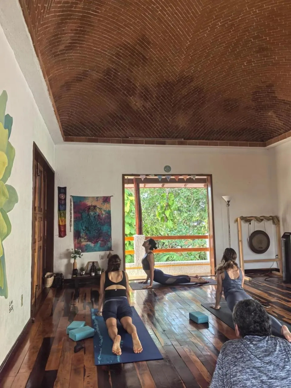 Entertainment in Eco-hotel El Rey del Caribe