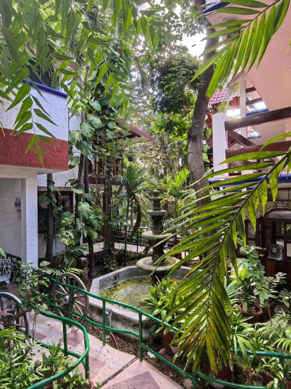 Garden in Eco-hotel El Rey del Caribe