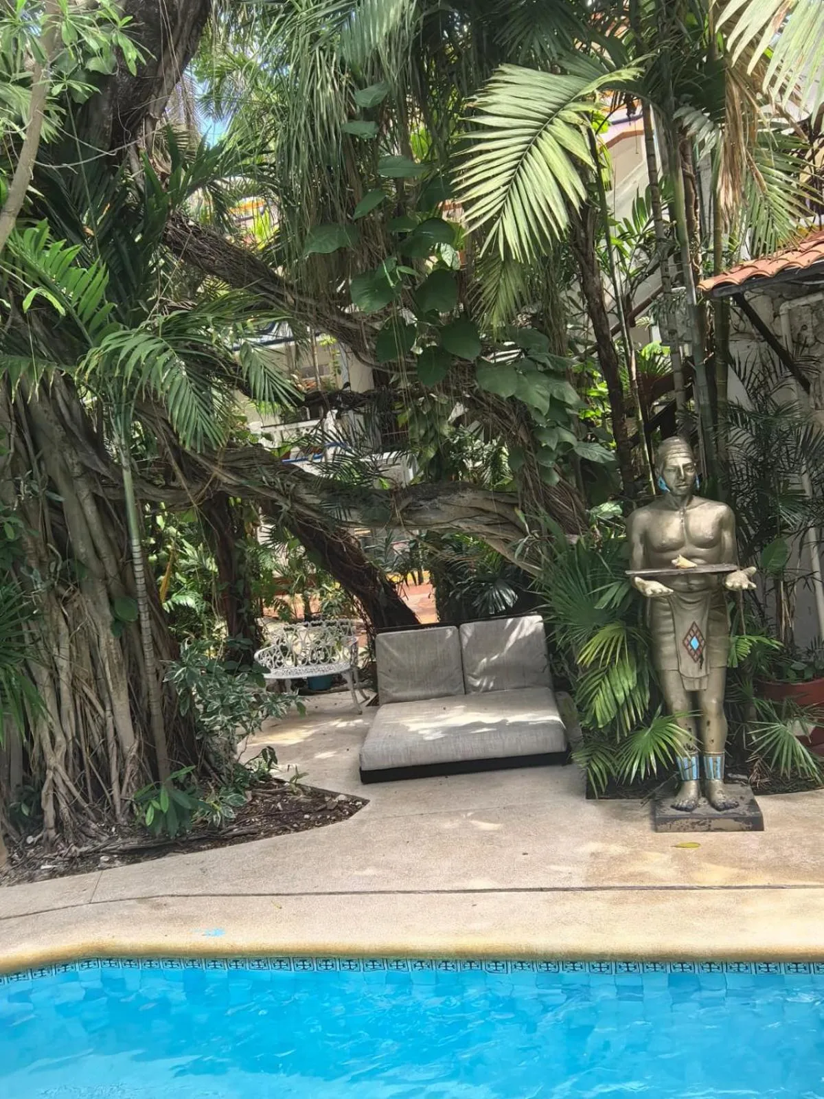 Natural landscape in Eco-hotel El Rey del Caribe