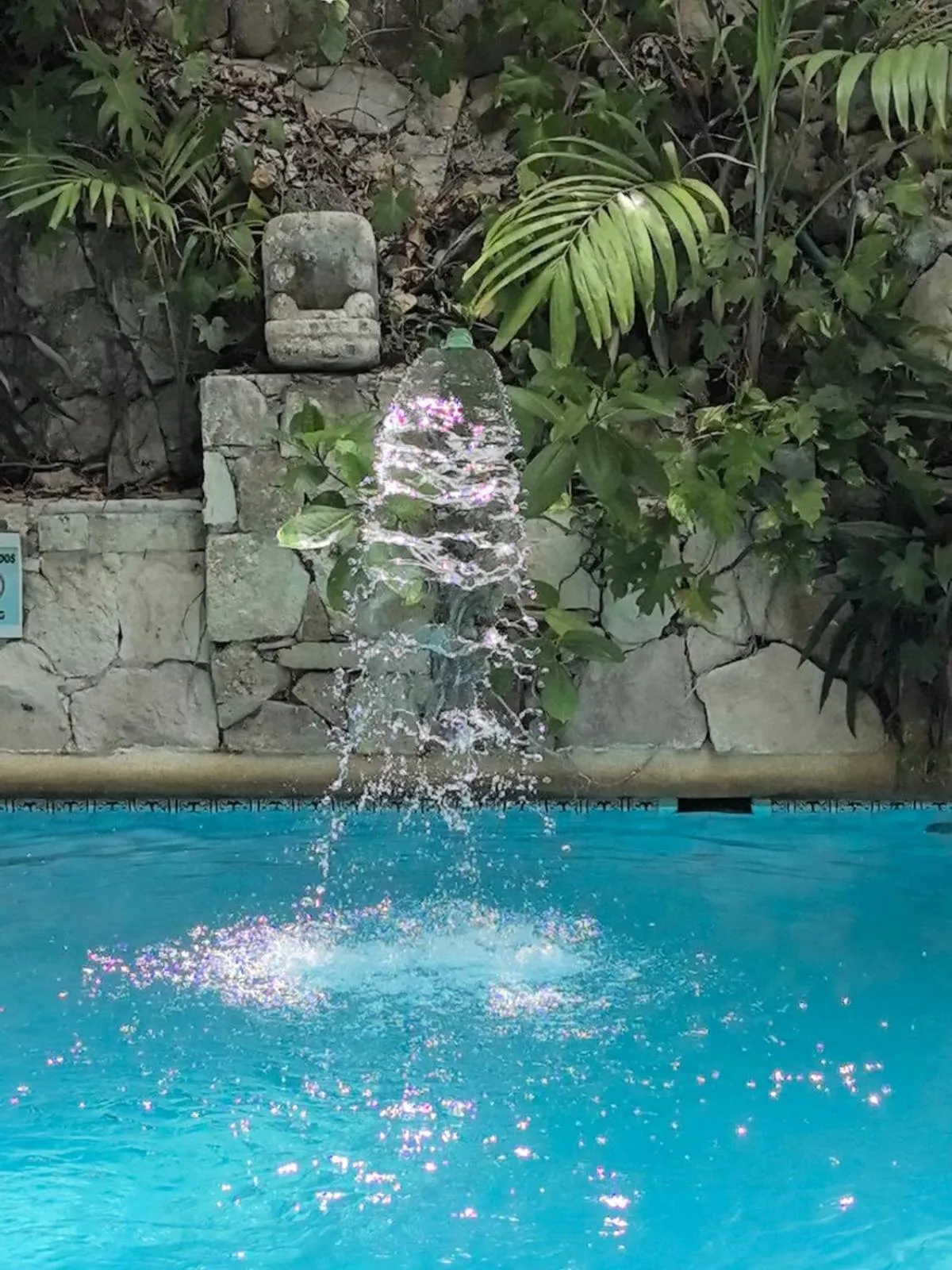 Swimming pool in Eco-hotel El Rey del Caribe