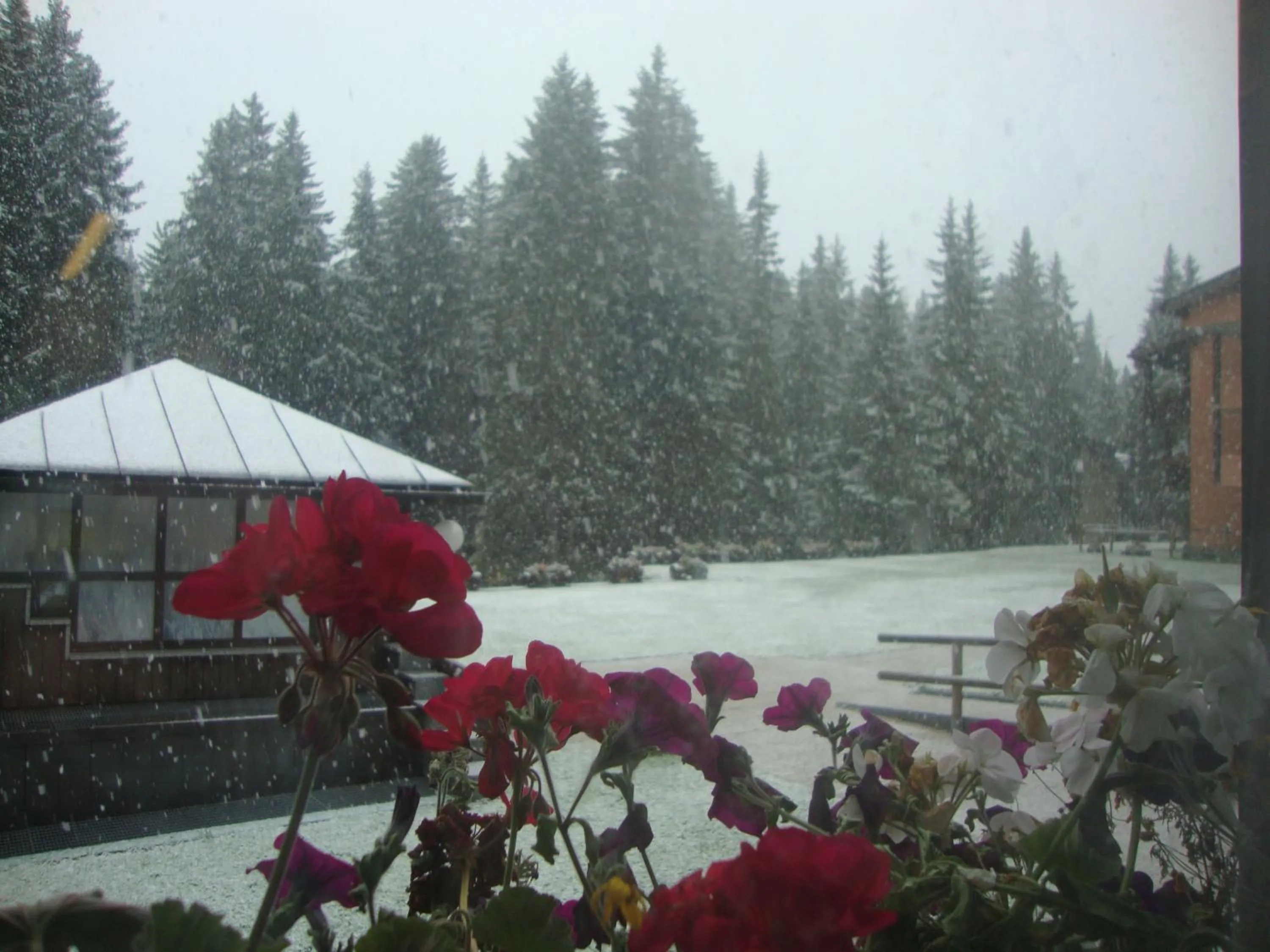 Winter in Multiproprietà Rio Falzè