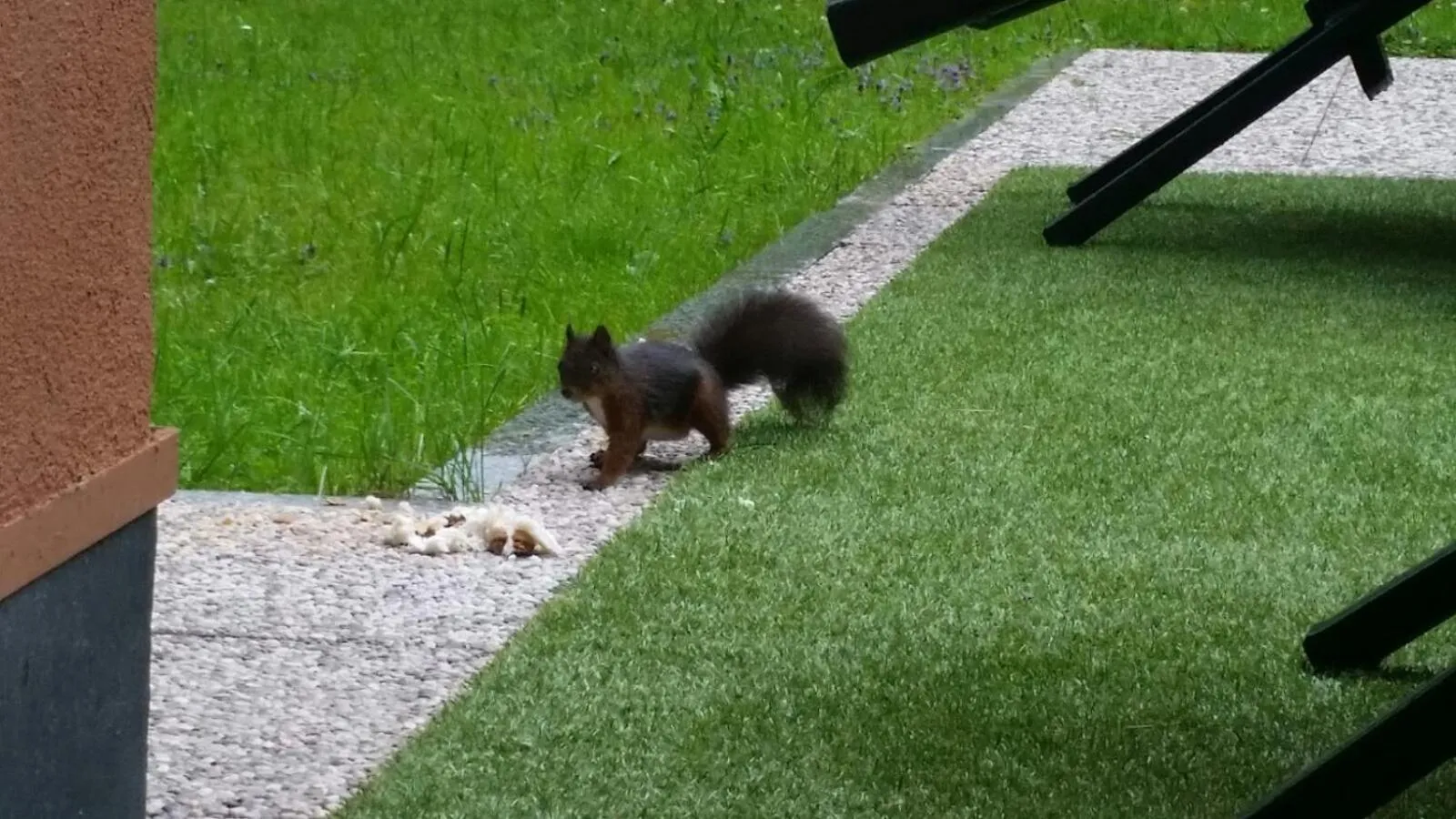 Multiproprietà Rio Falzè