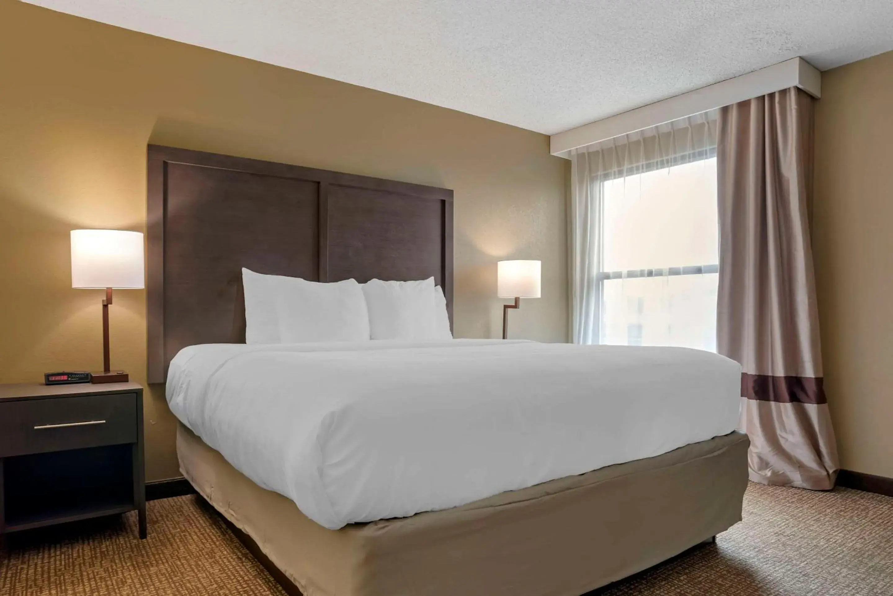 King Suite - Non-Smoking in Comfort Inn Opelika - Auburn King Suite - Non-Smoking in Comfort Inn Opelika - Auburn