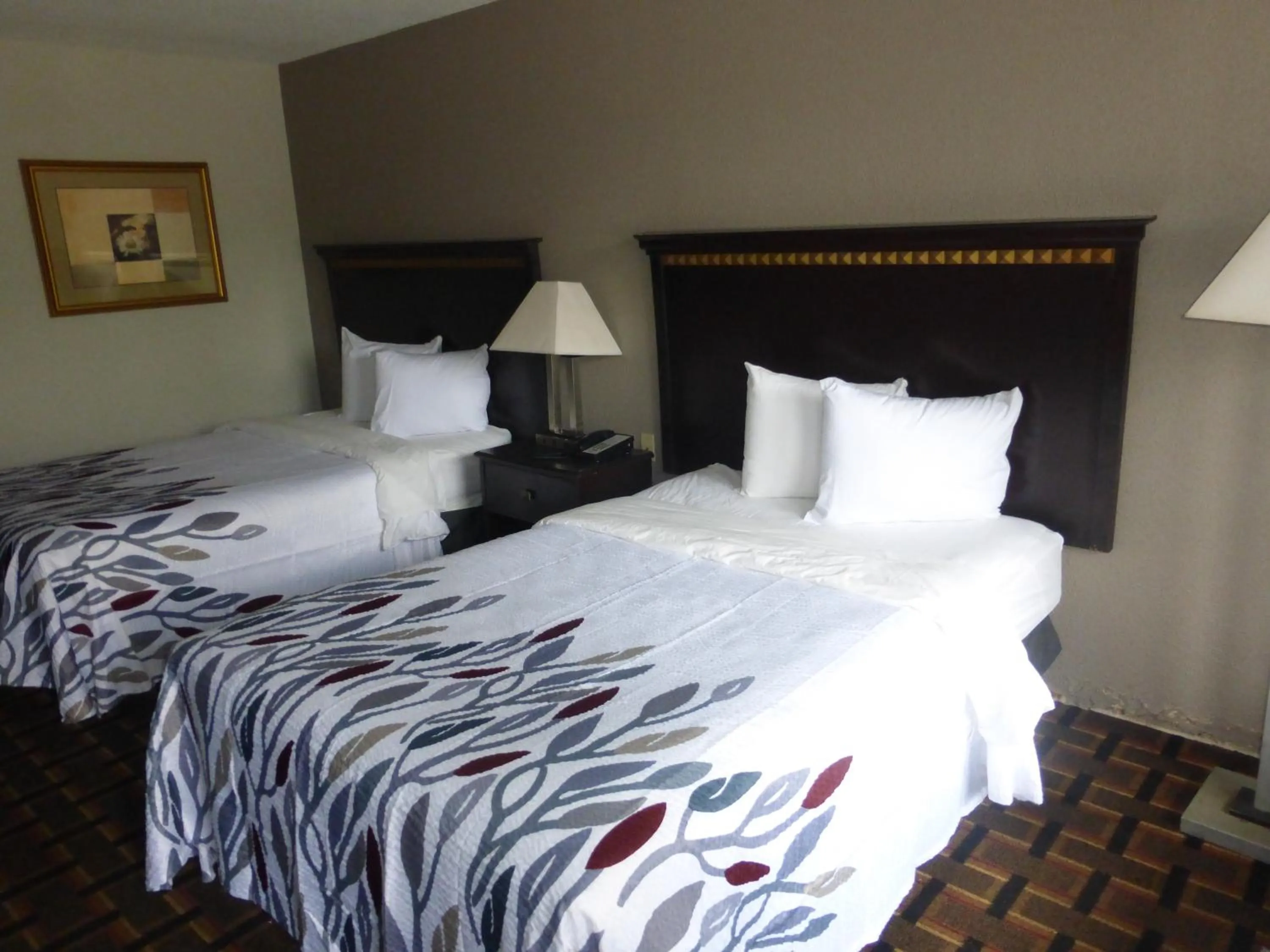 Bedroom in Red Roof Inn Evergreen