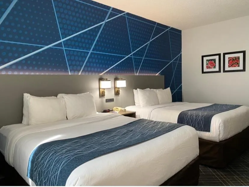 Bed in Comfort Inn Greenville I-65