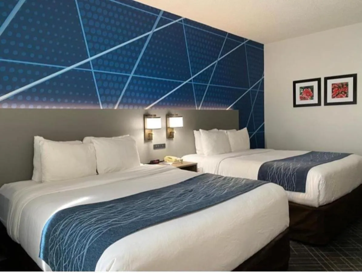 Bed in Comfort Inn Greenville I-65