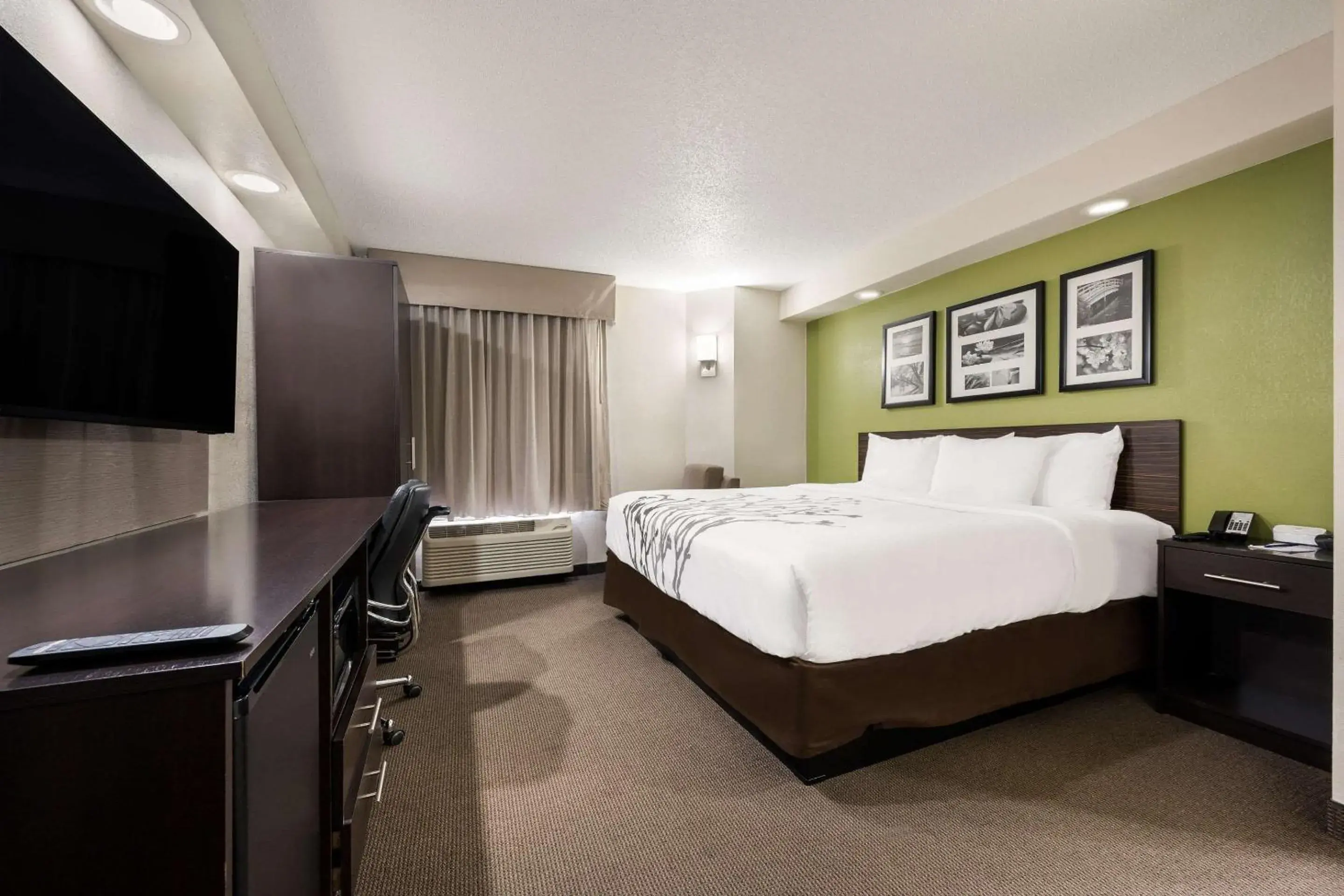 King Room - Non-Smoking in Sleep Inn Athens I-65 King Room - Non-Smoking in Sleep Inn Athens I-65