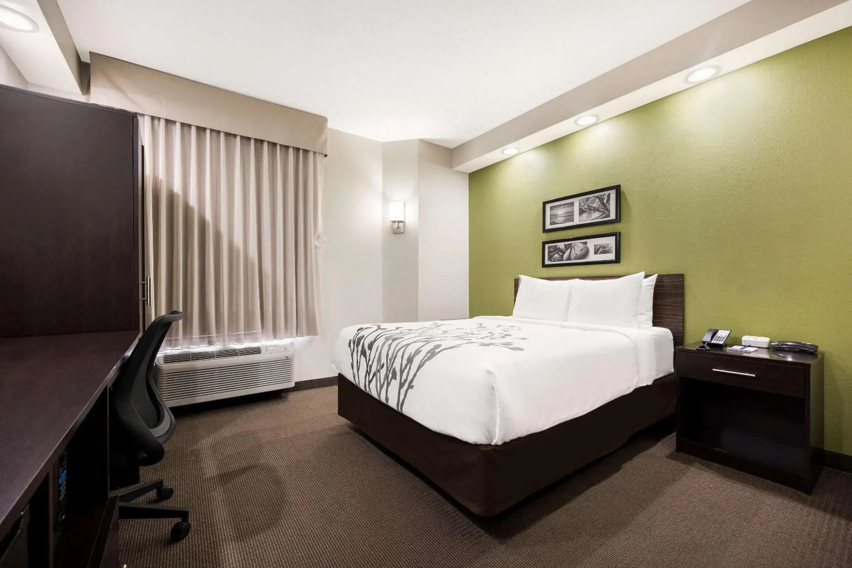 Queen Room - Non Smoking in Sleep Inn Athens I-65 Queen Room - Non Smoking in Sleep Inn Athens I-65