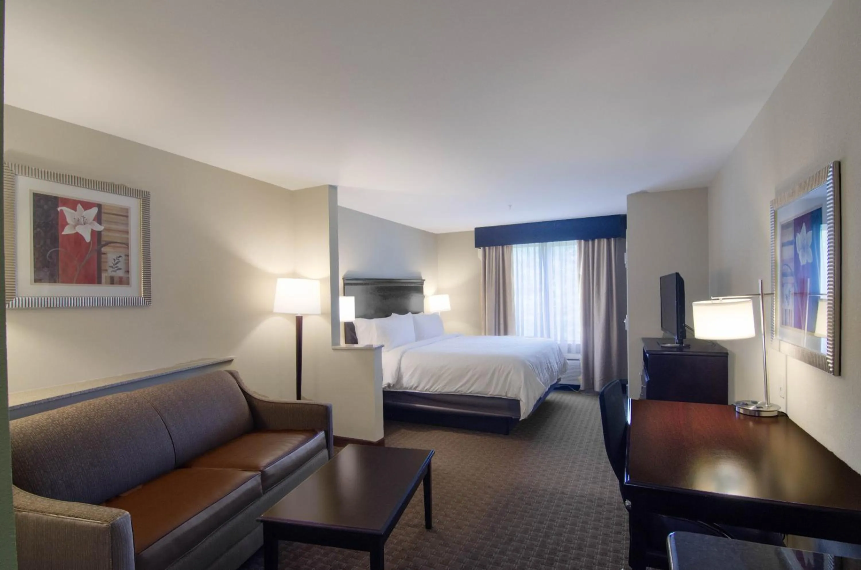 Photo of the whole room, Bed in Comfort Suites Mobile-South Alabama University Area