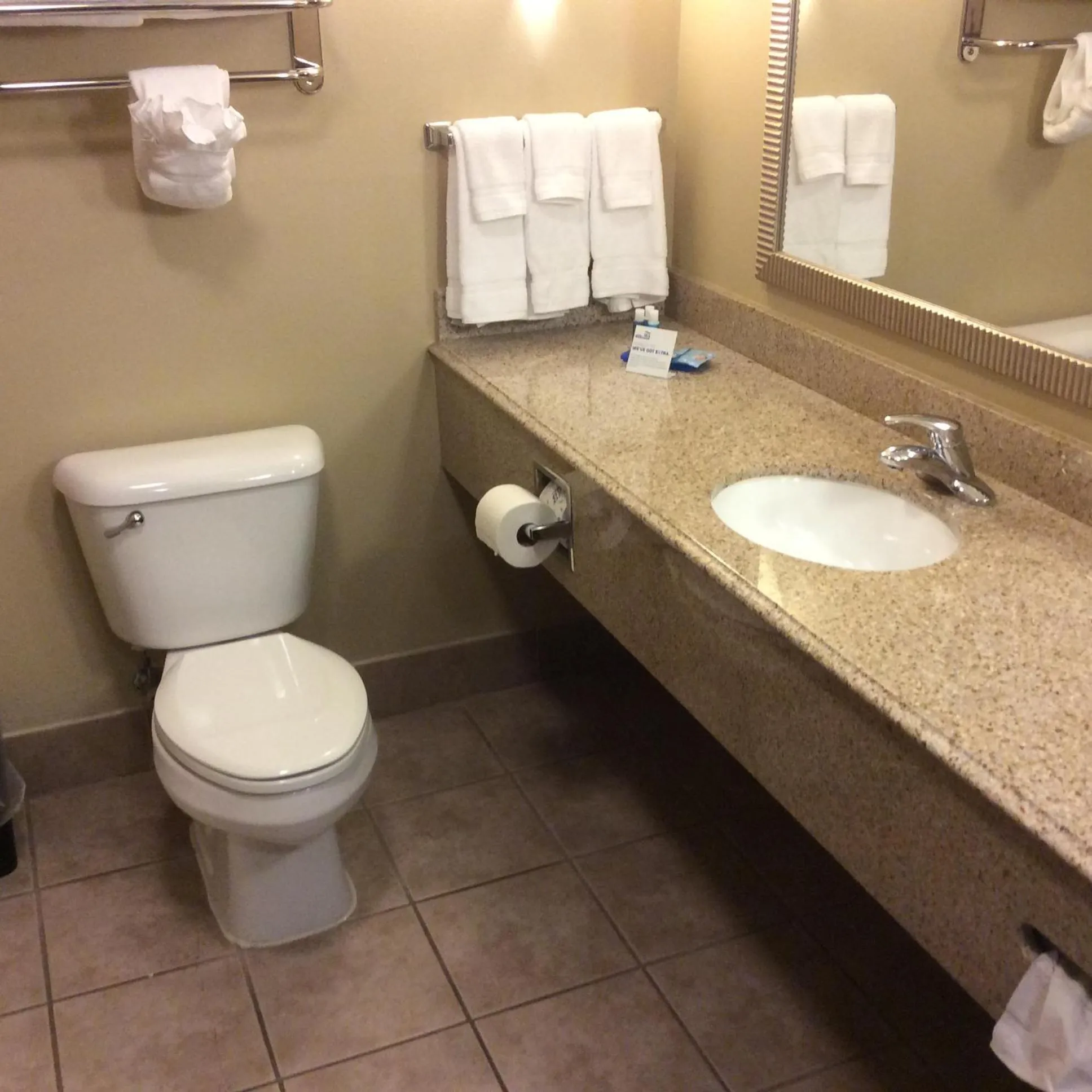 Bathroom in Comfort Suites Mobile-South Alabama University Area