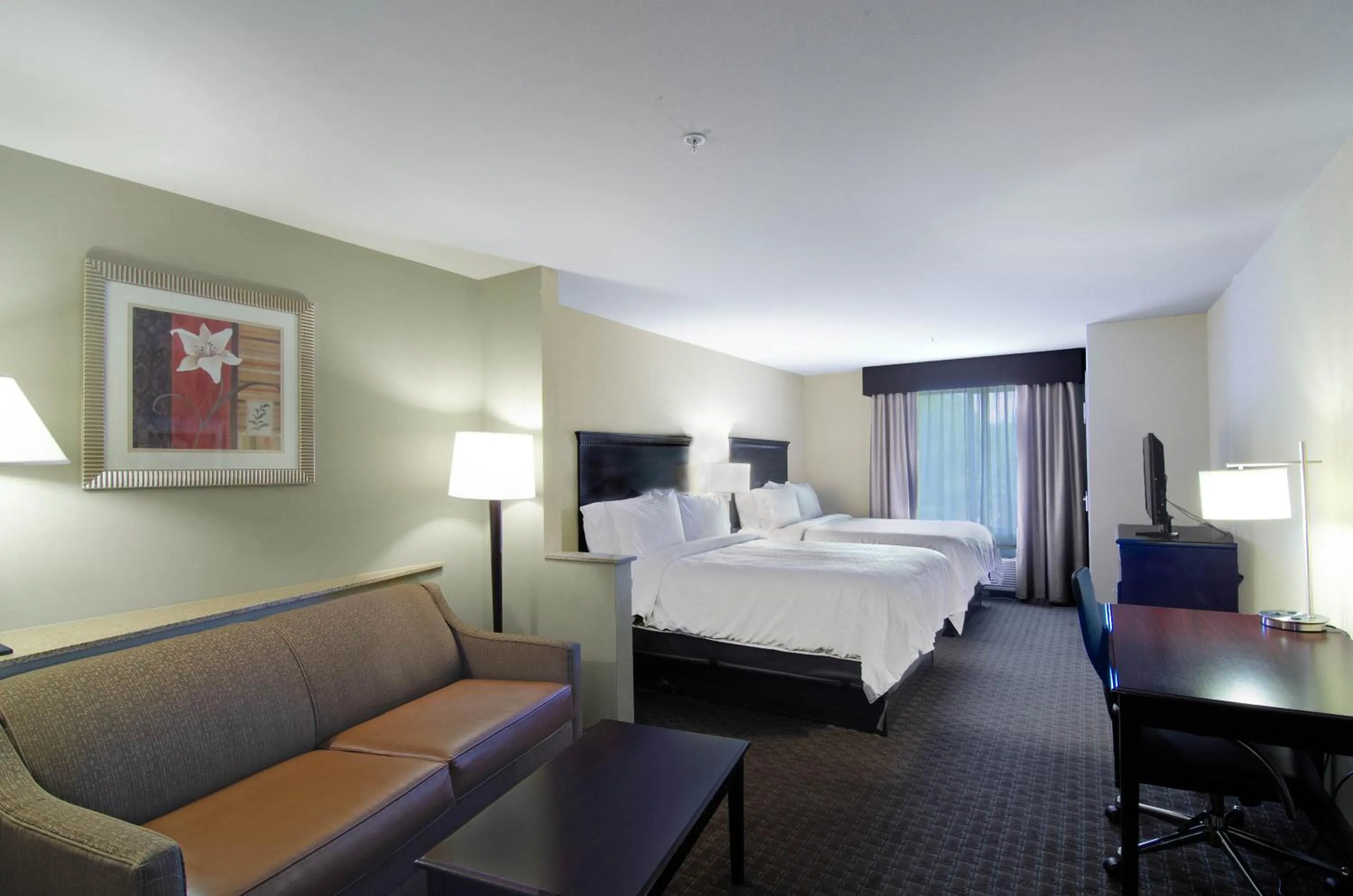 Photo of the whole room, Bed in Comfort Suites Mobile-South Alabama University Area